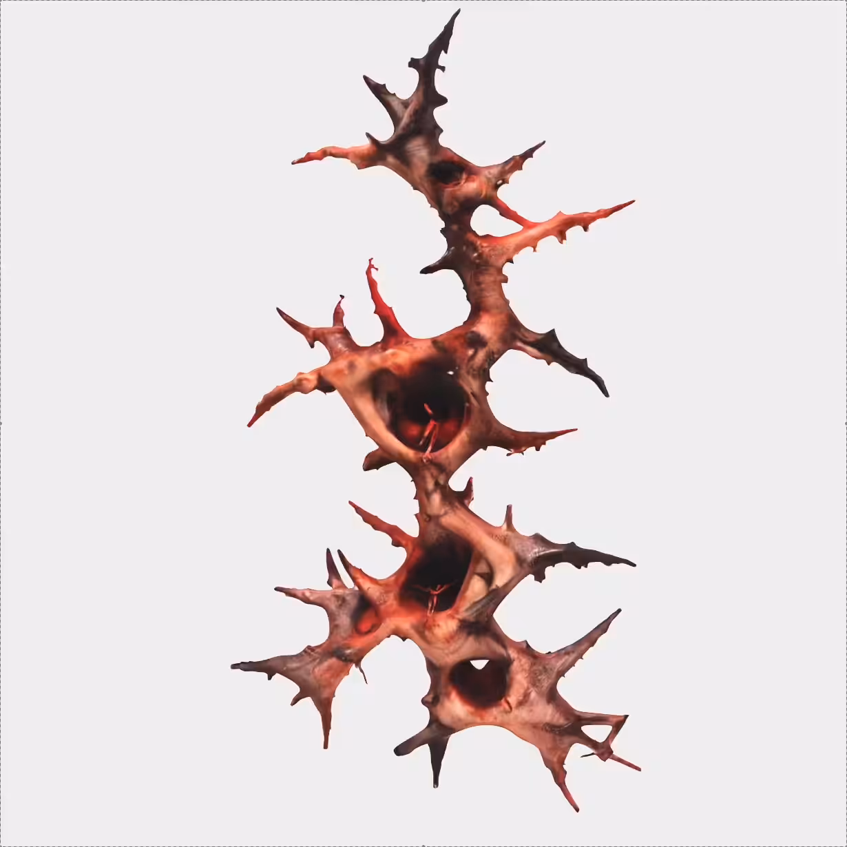 WSC_01