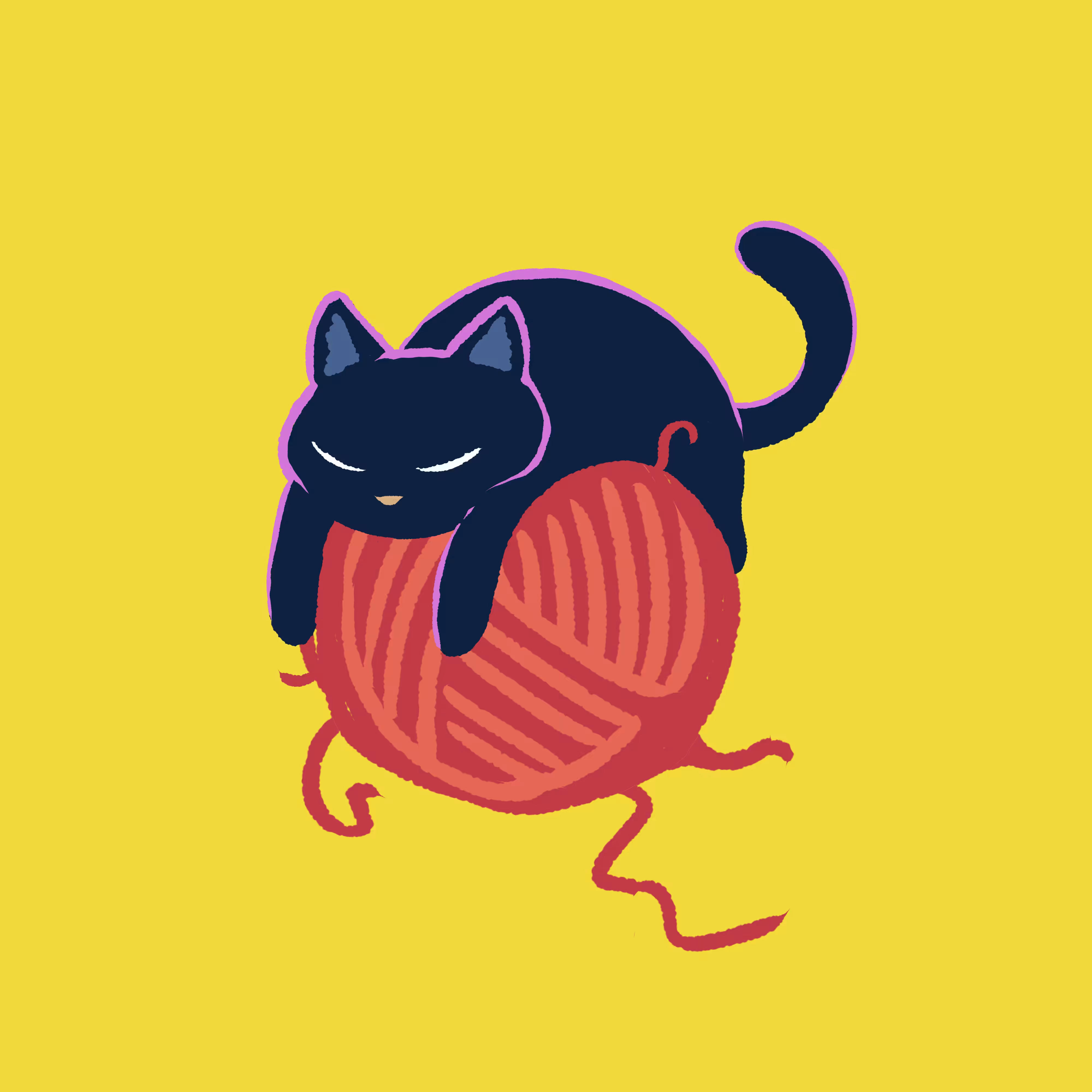 CAT #16 Cat Yarn