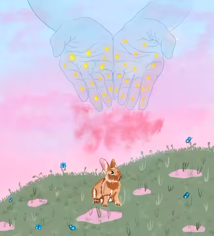 The magic valley