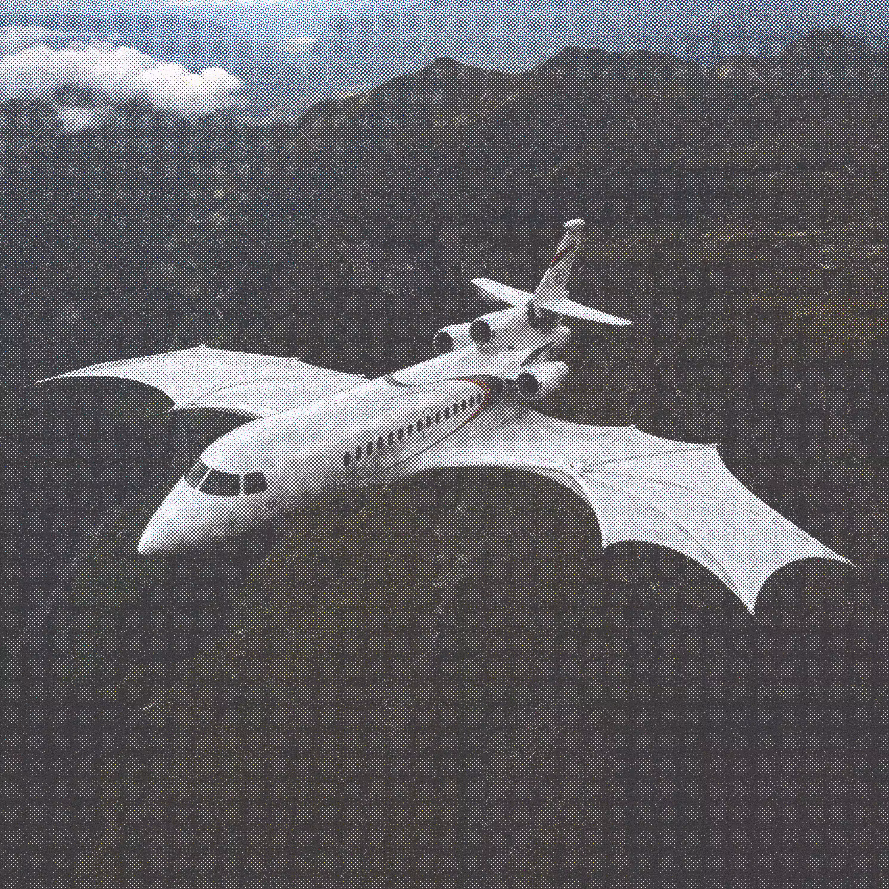 I dreamed of a bat-shaped airplane