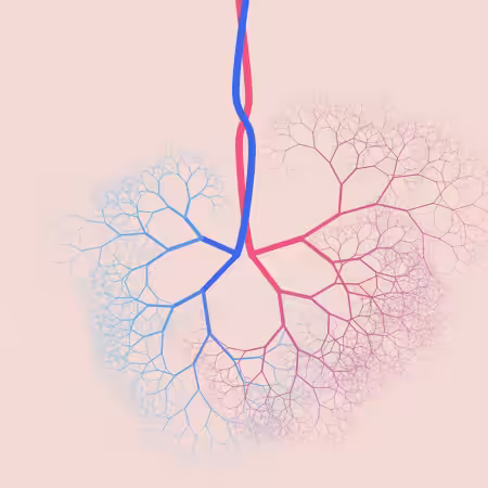 capillary trees #9