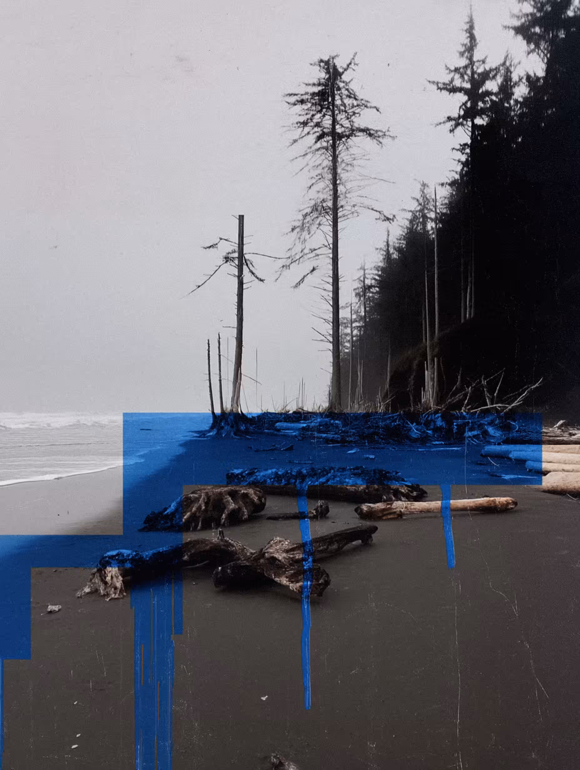 NeLandscape [13]