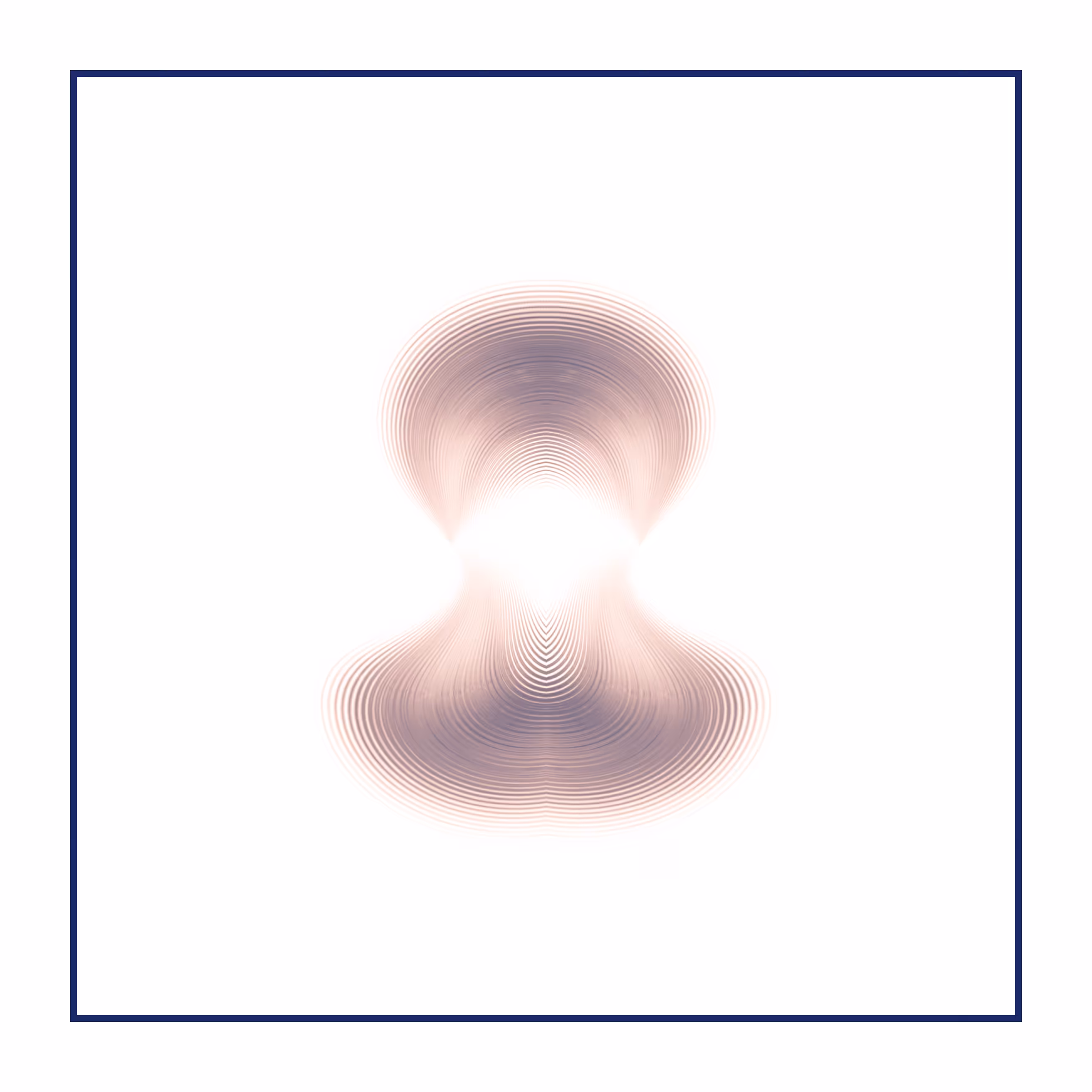 z9832484z0954212