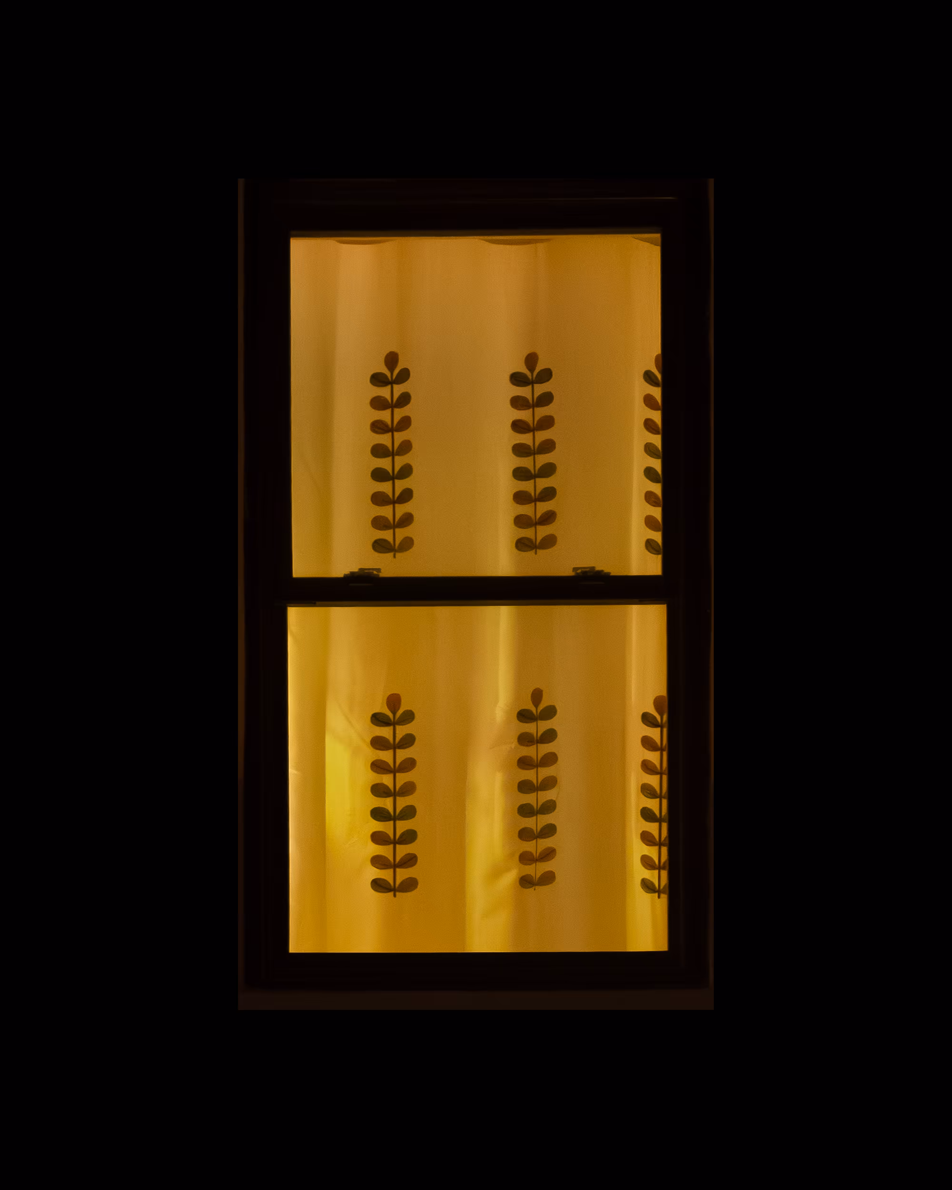 WINDOWS // NYC: WINDOW 216