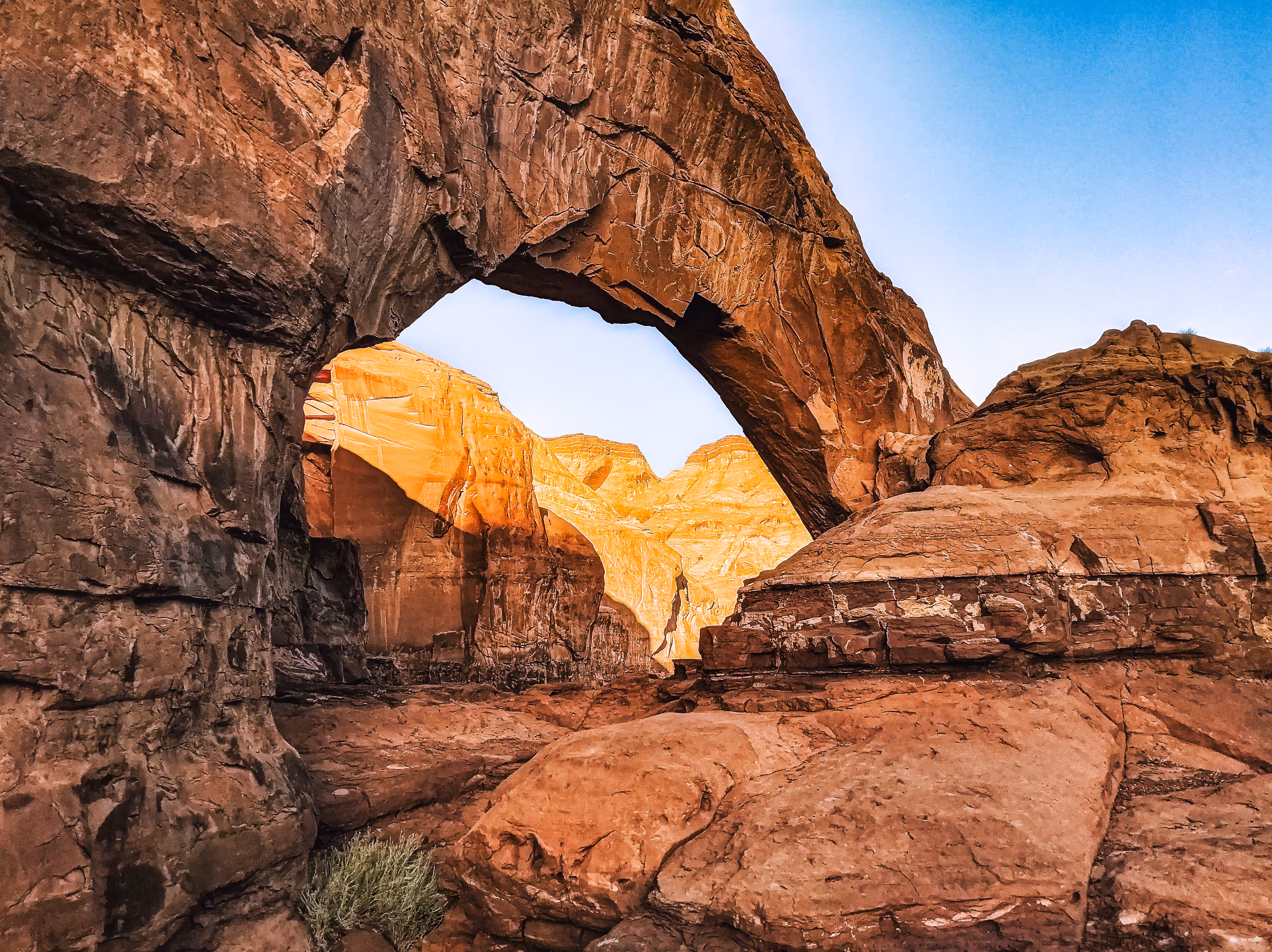 ARCH