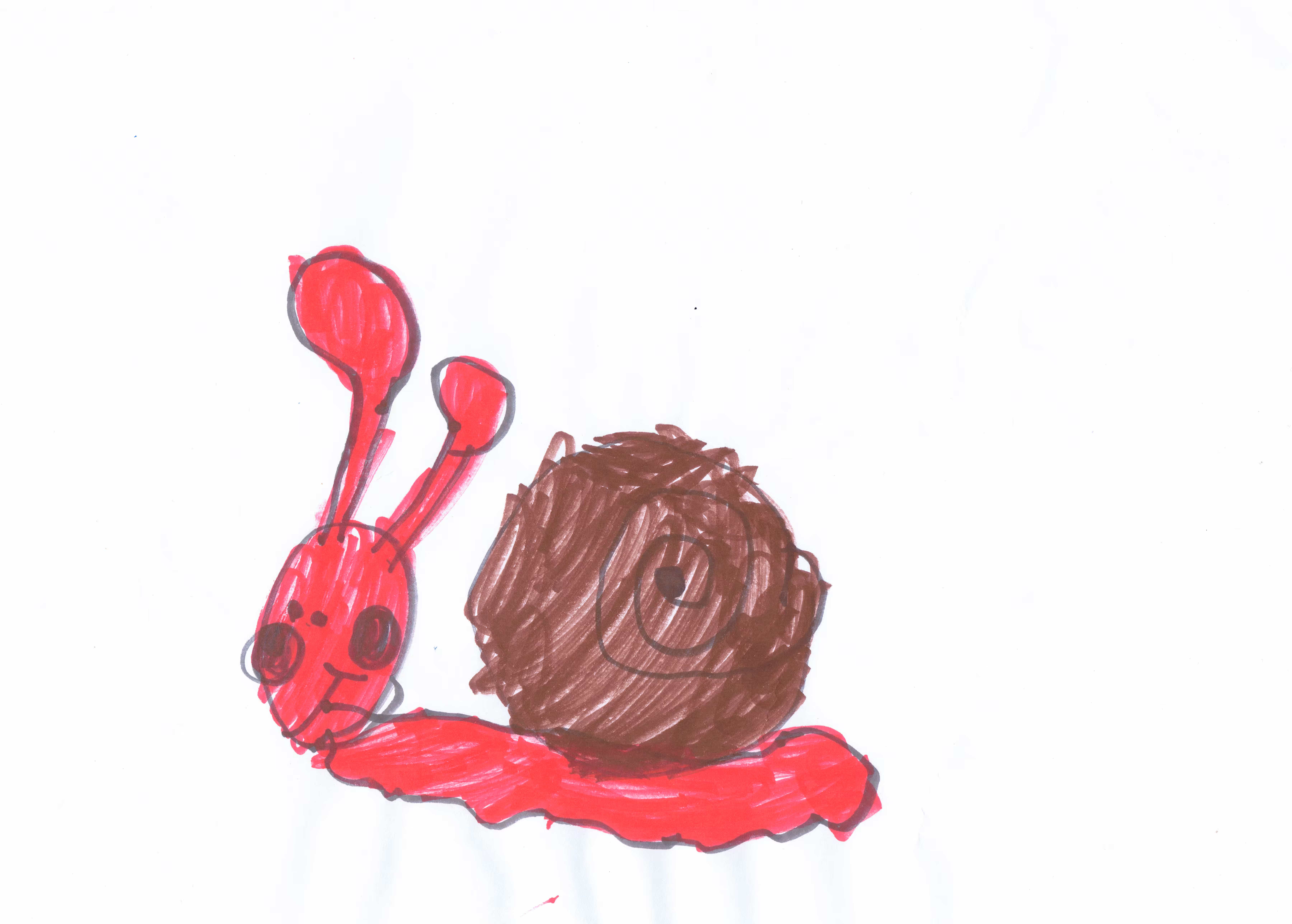 Chiocciola (Snail)