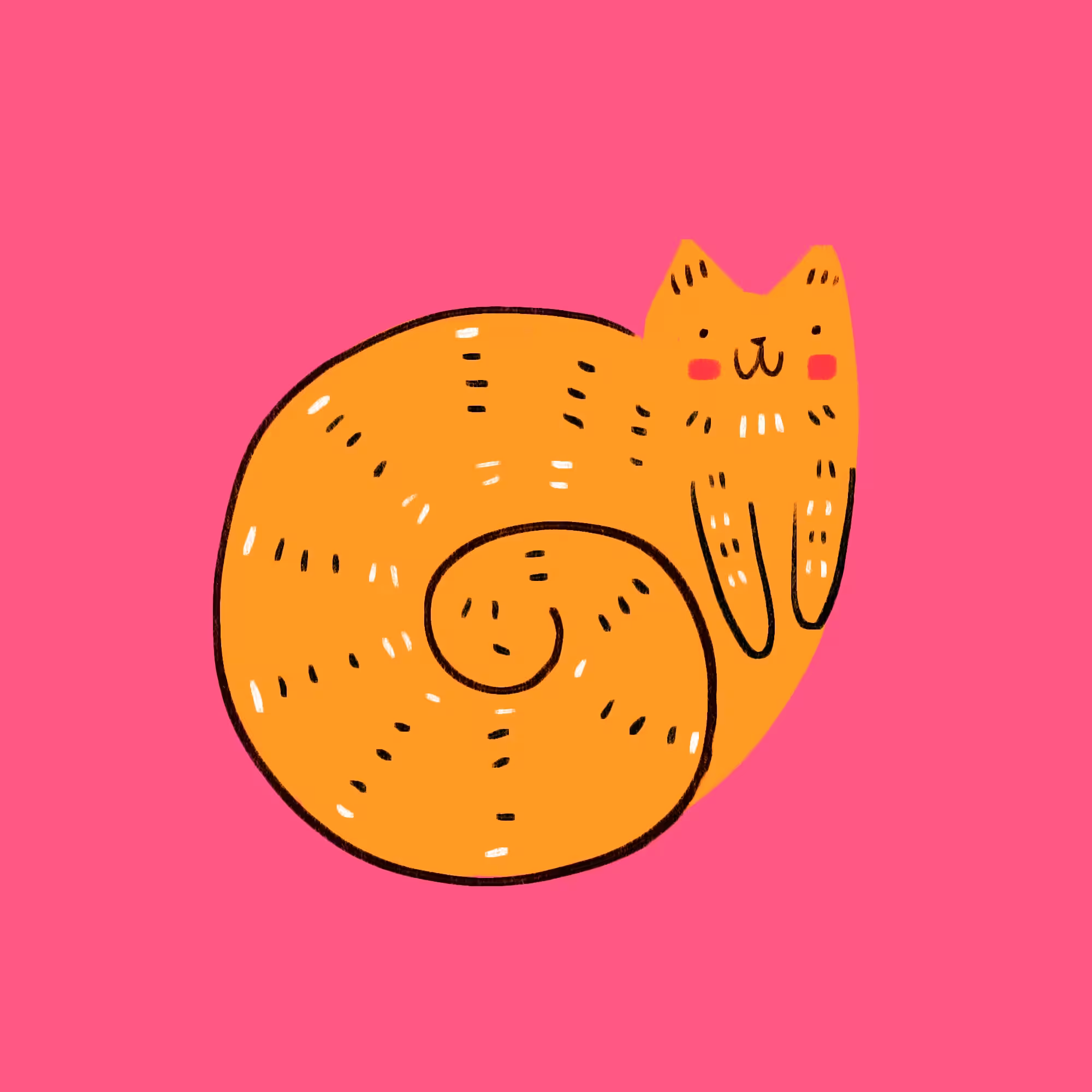 snail cat
