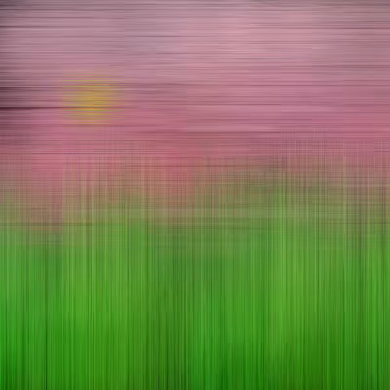 Hatch Field 003 #63