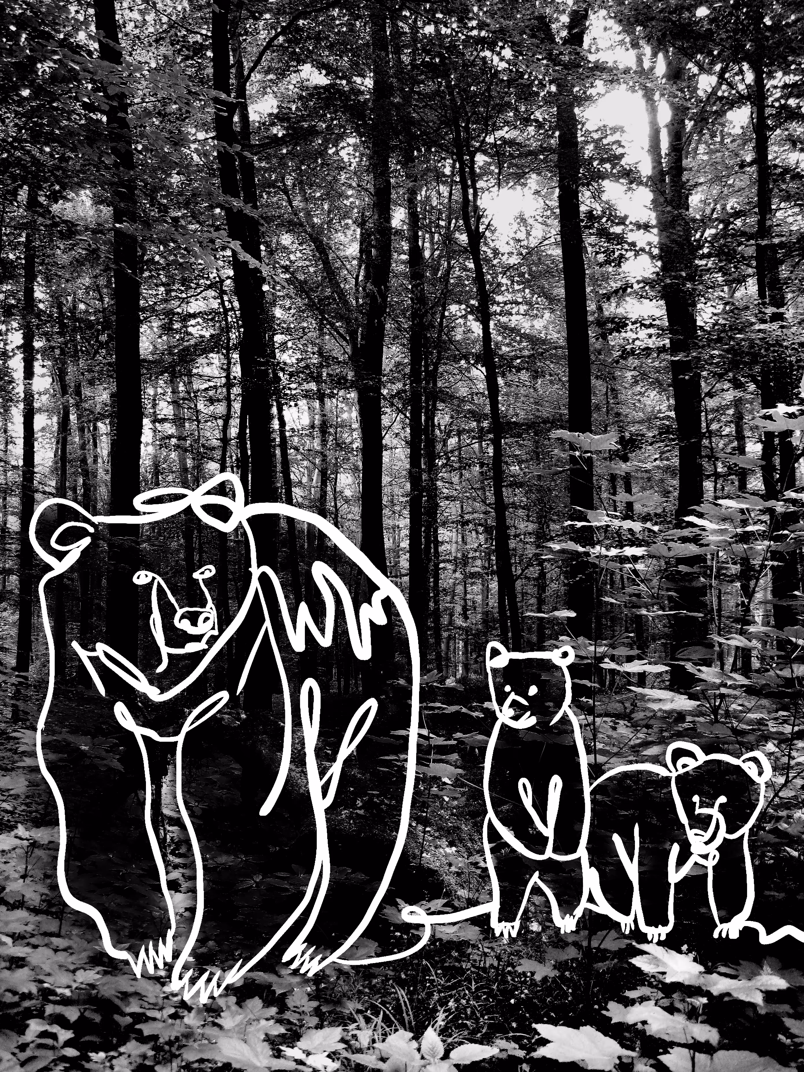 MotherBear × 2Jost Collaboration 