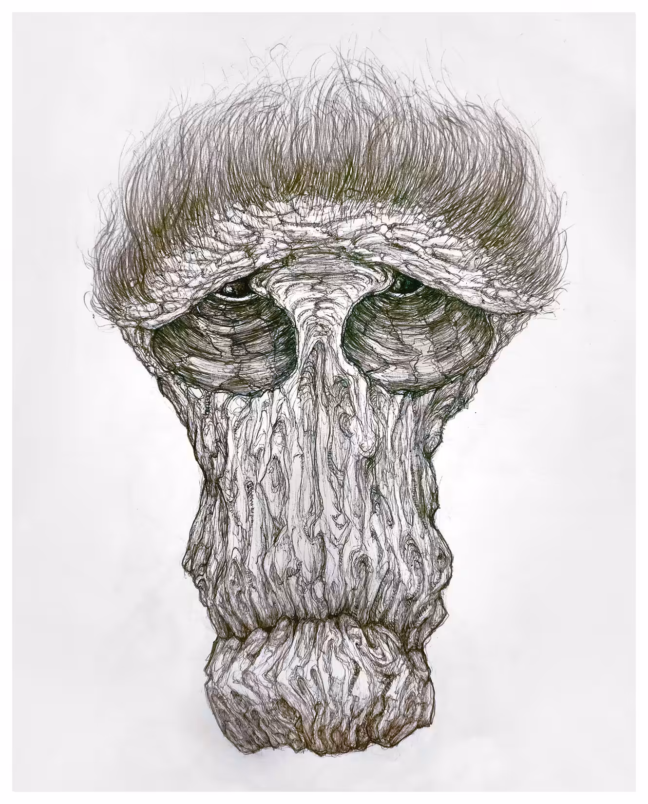 Eldercholia