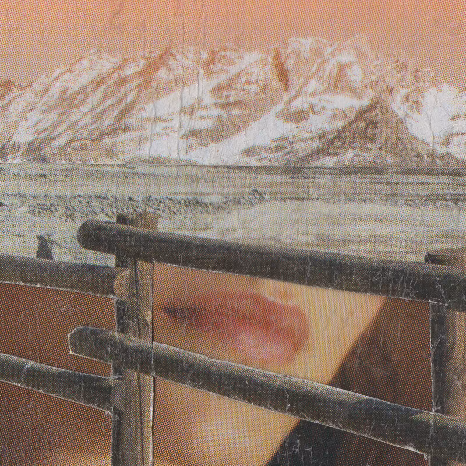 1mouth analog #210