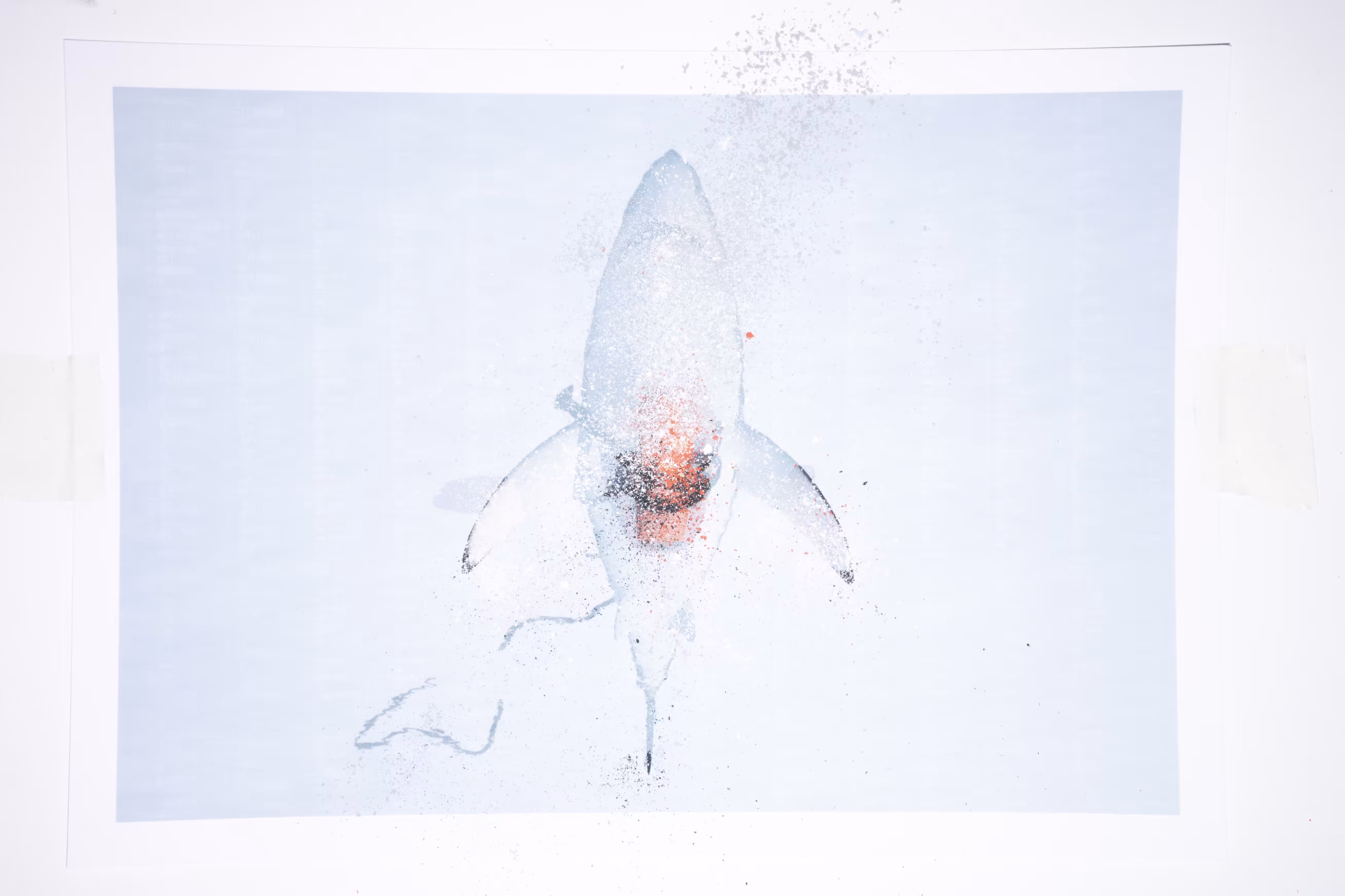 RESCUE, Distortions, #5_2