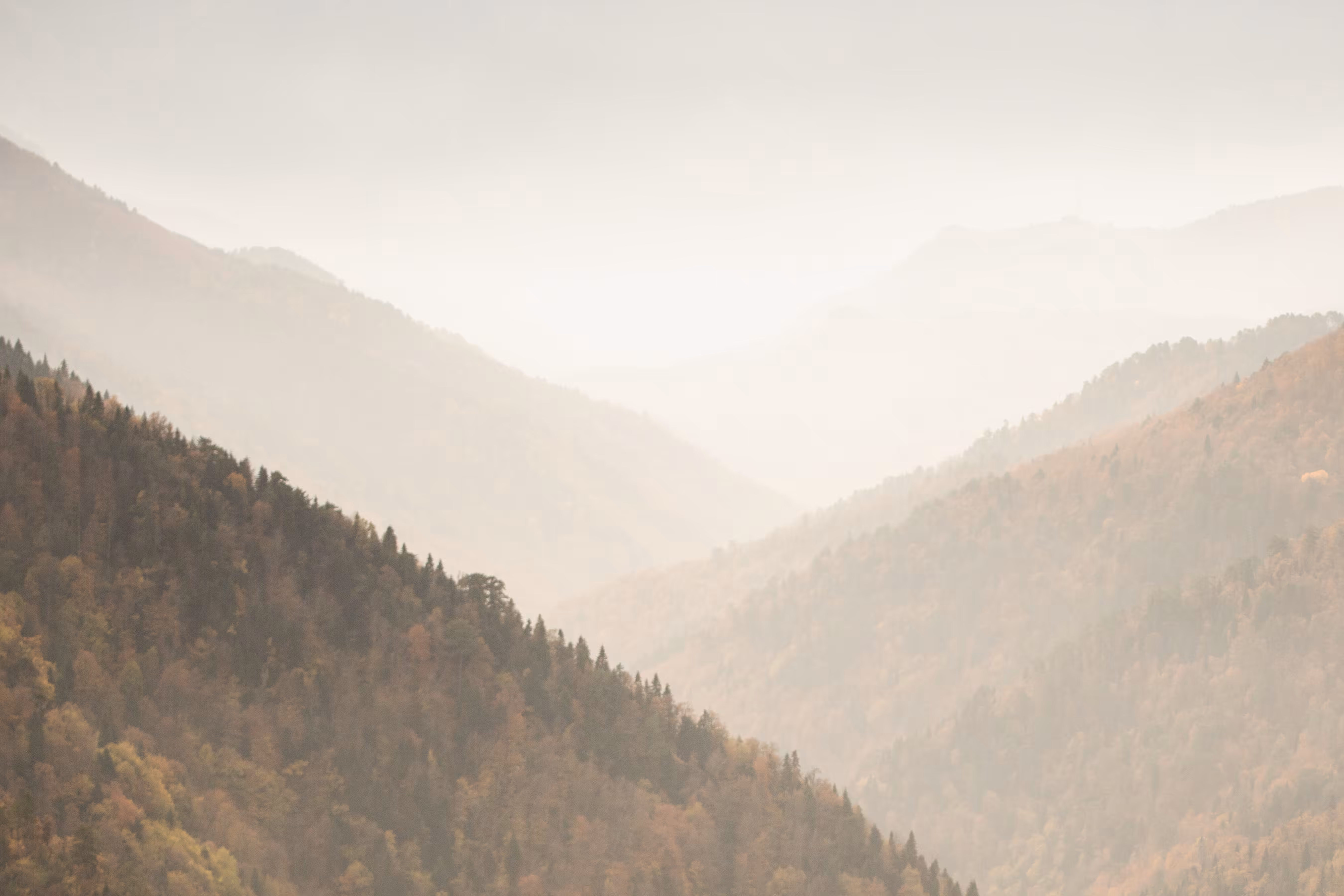 Colors Of Nature #7