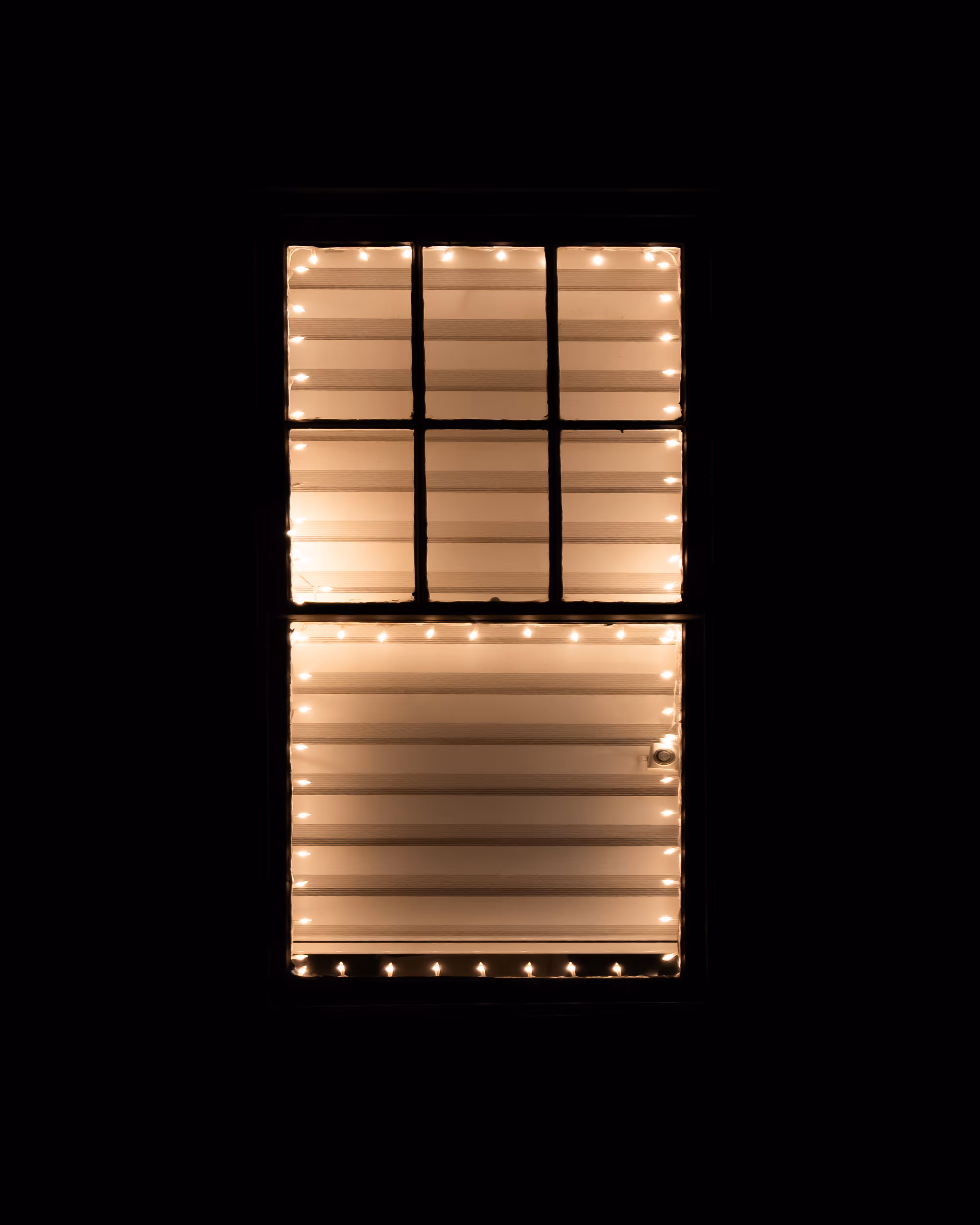 WINDOW 368