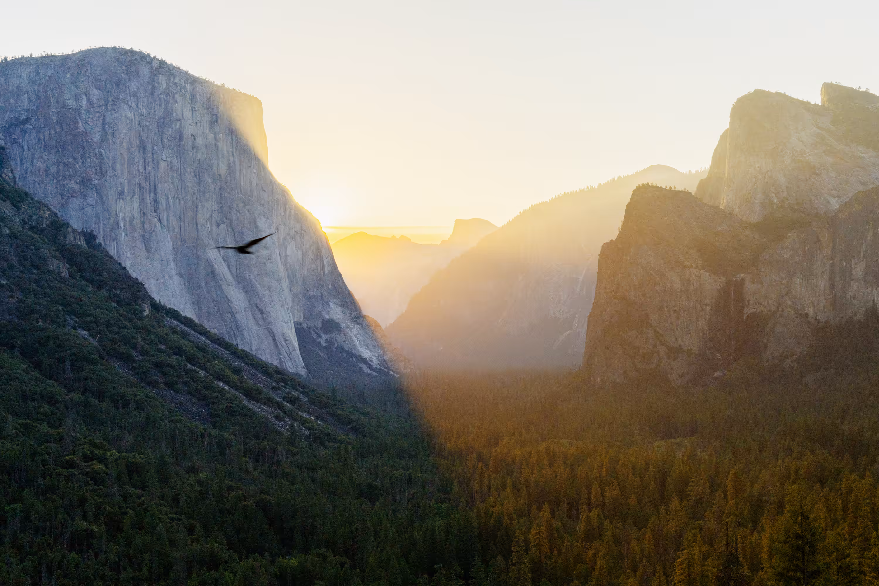Tunnel View at Sunrise