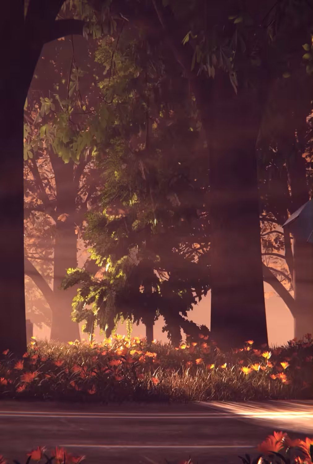 Plantation of Enchantment