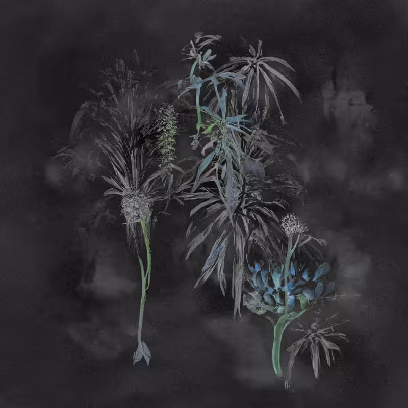 Hauntological Herbarium #7