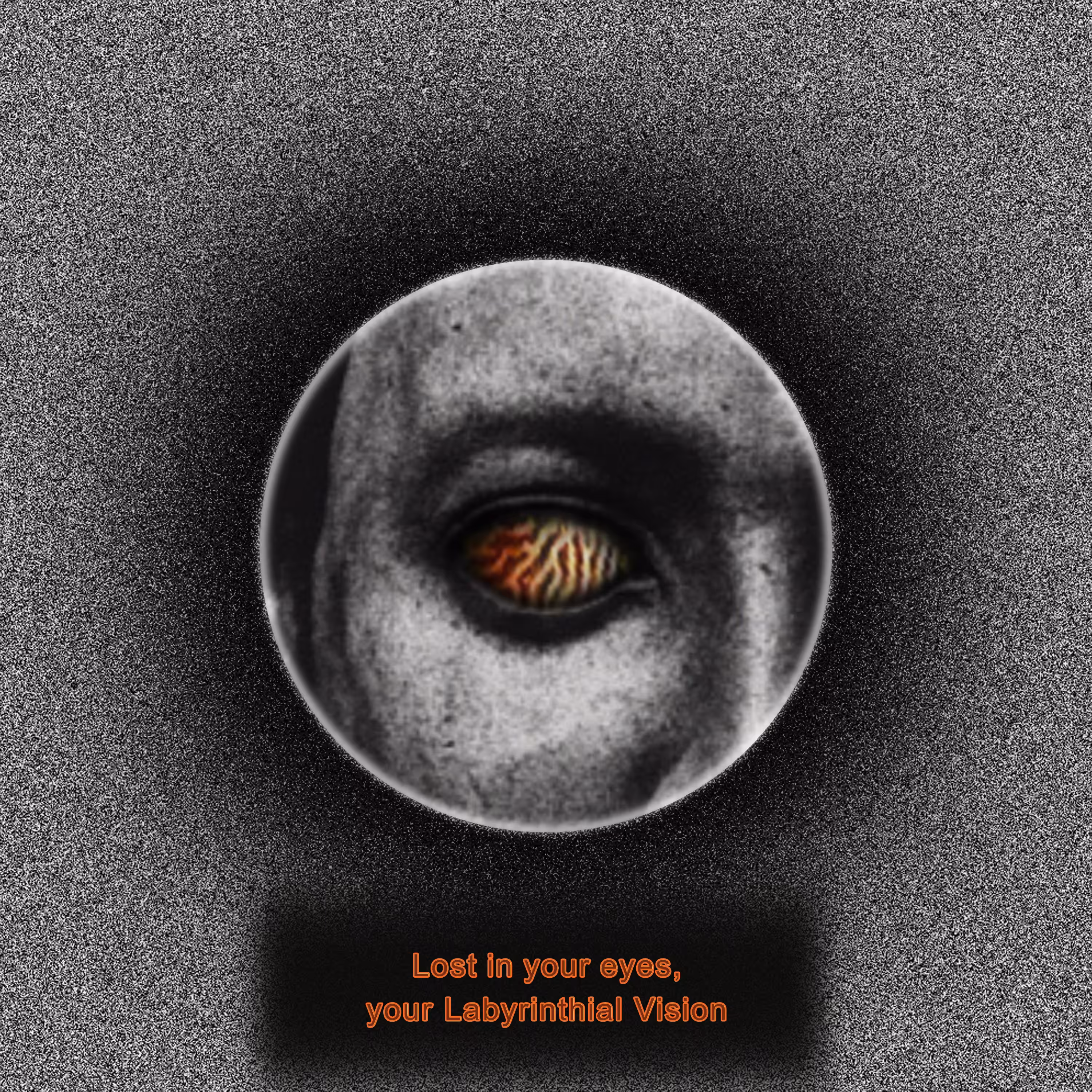 Labyrinthial Vision