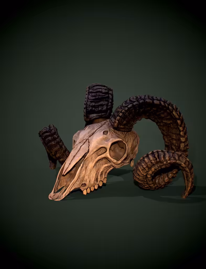 Goat Skull!