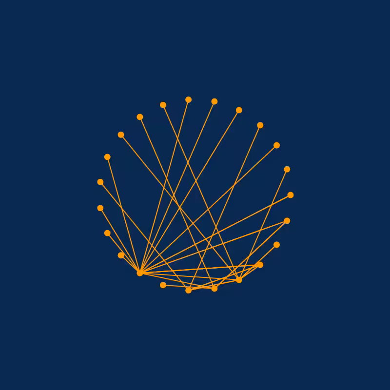 Morphing Networks #48