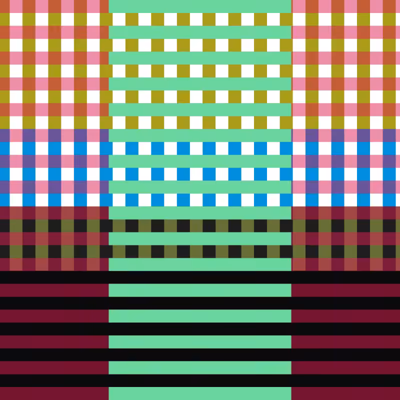 CELDAS #313