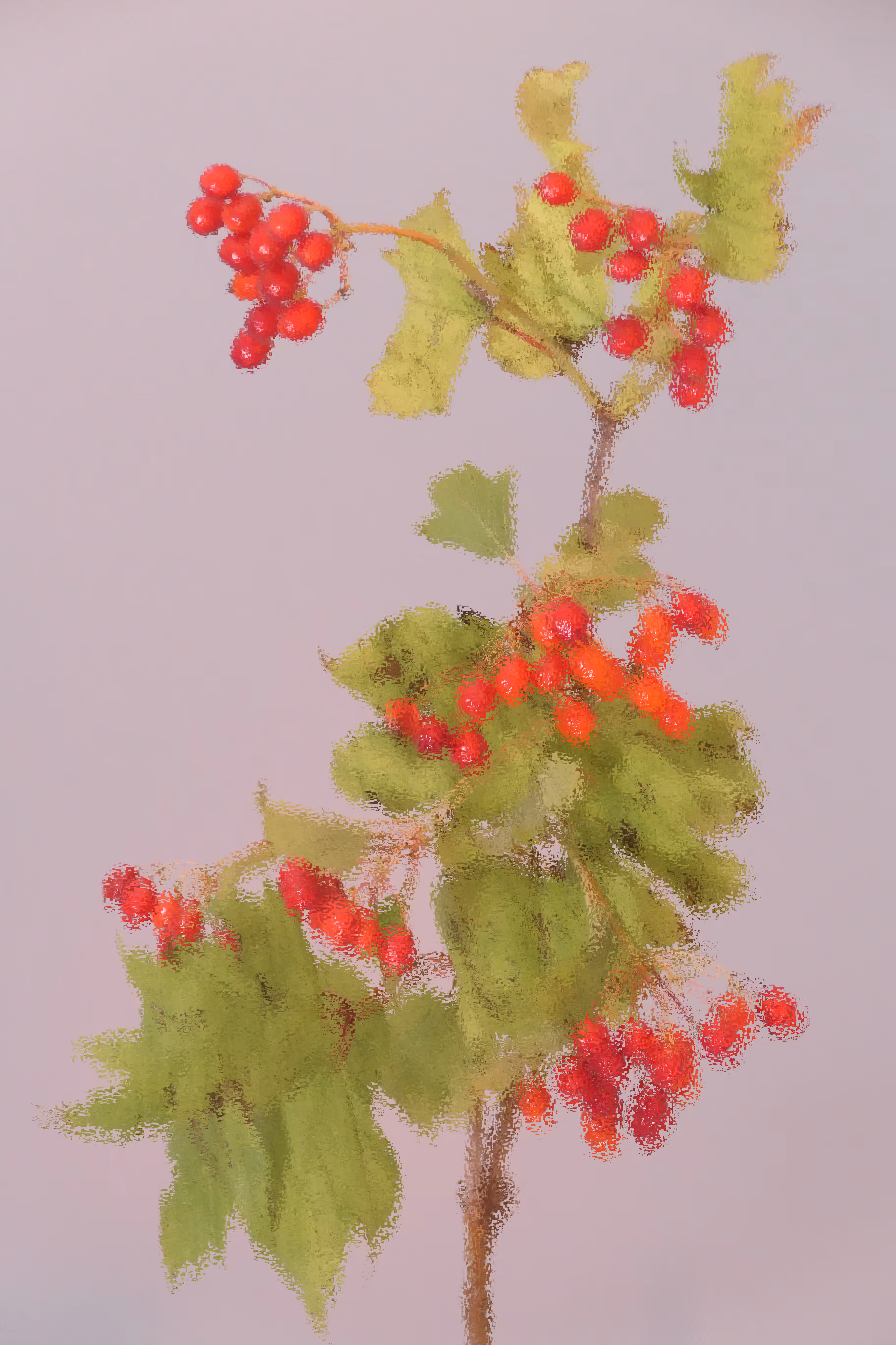 Postcard #63