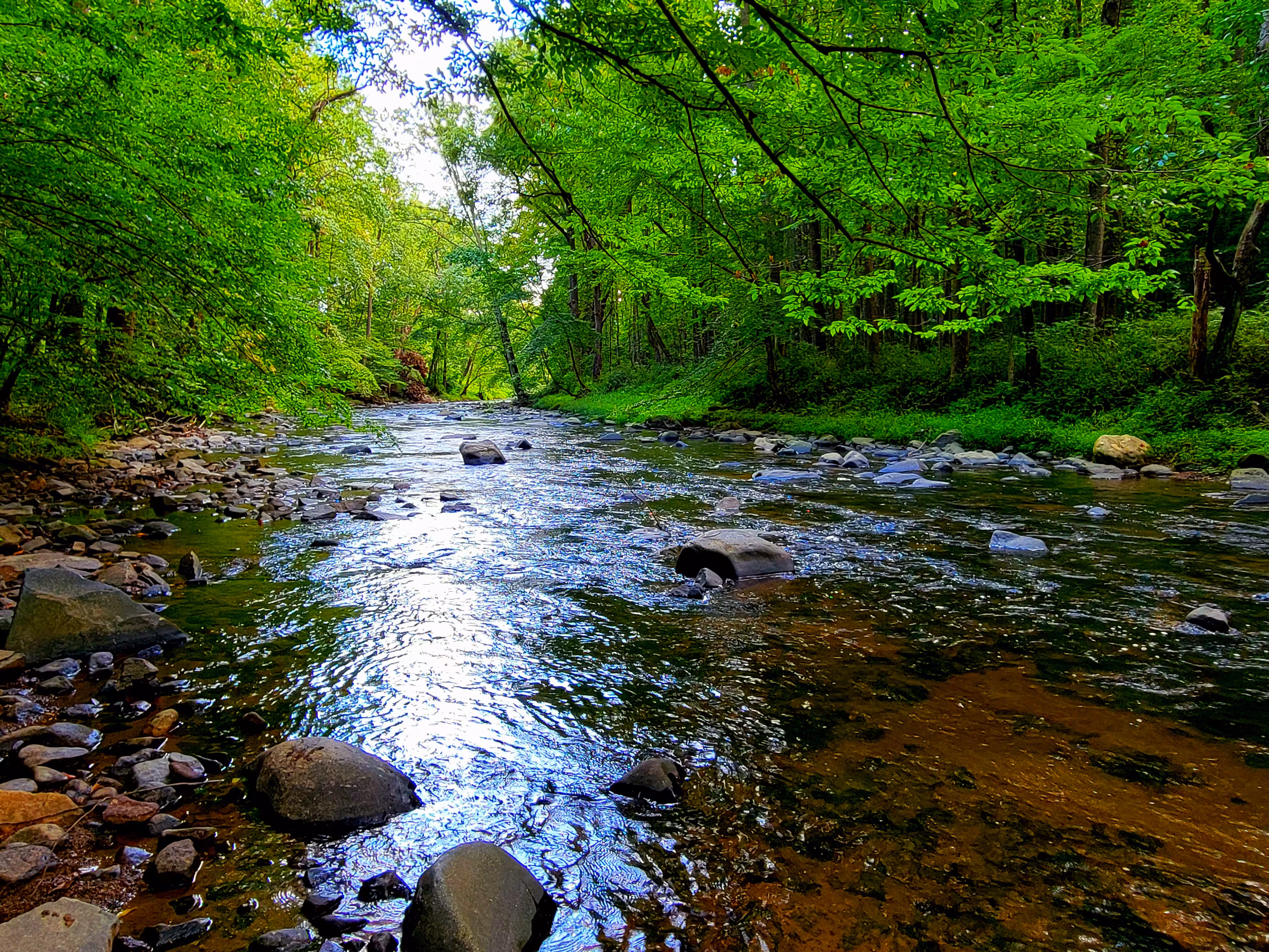 Gunpowder River 