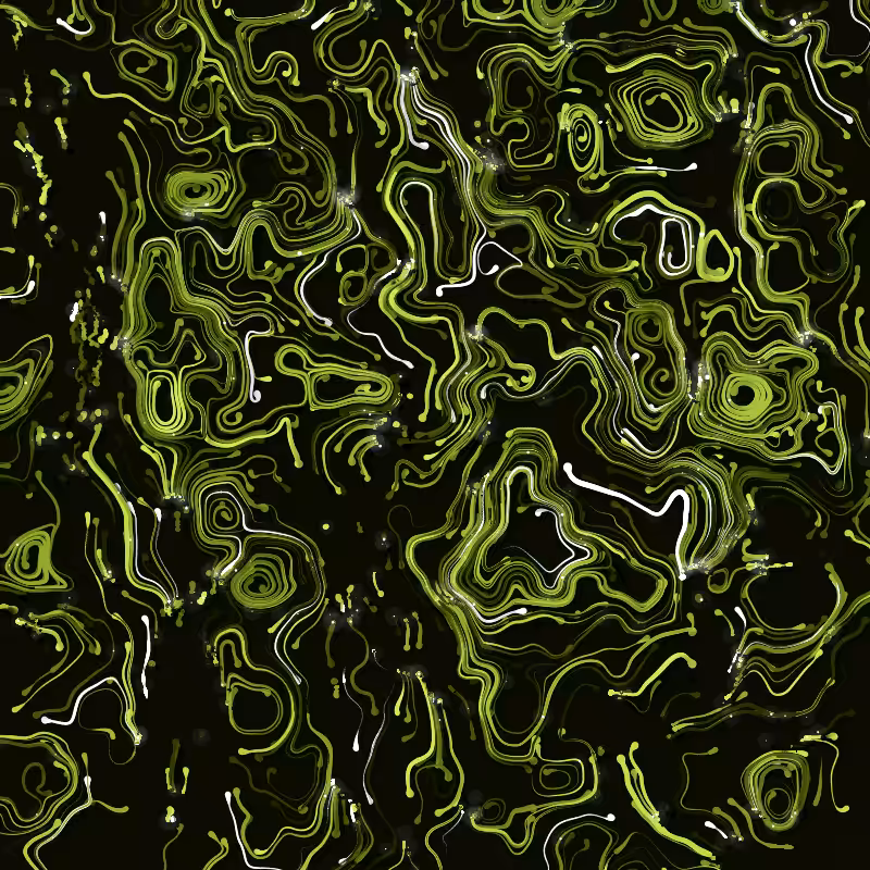 VINES #197