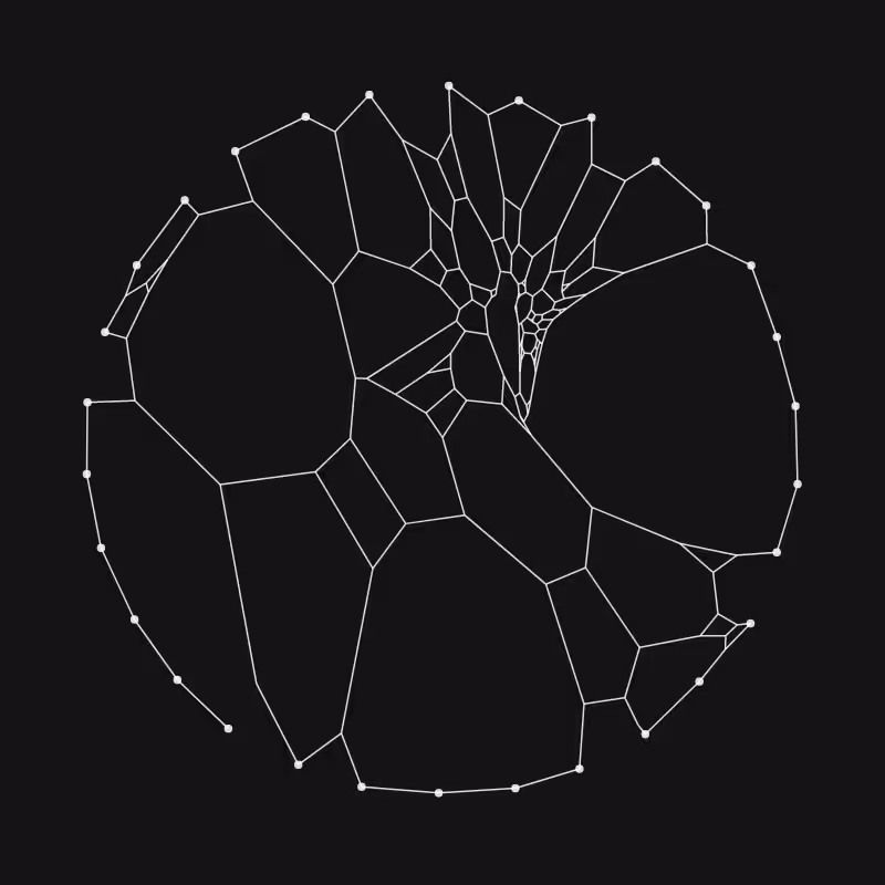 Elastic Web #309