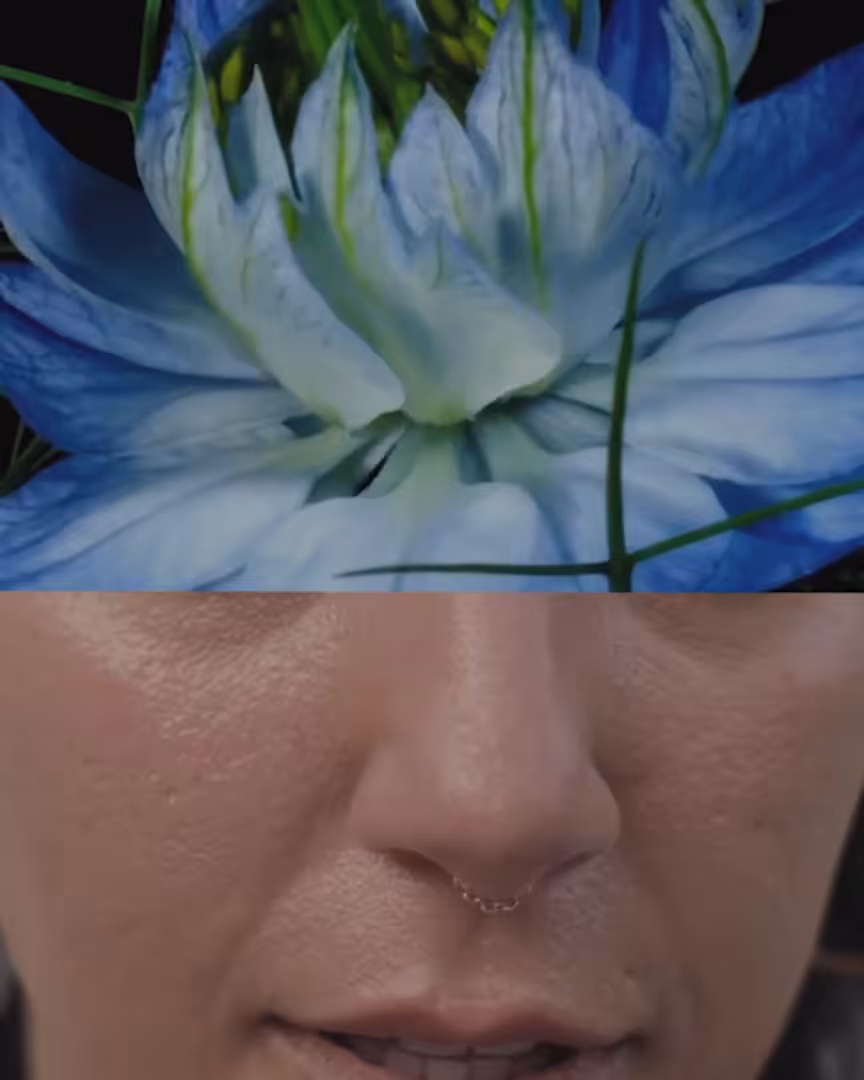 FLOWER HEAD