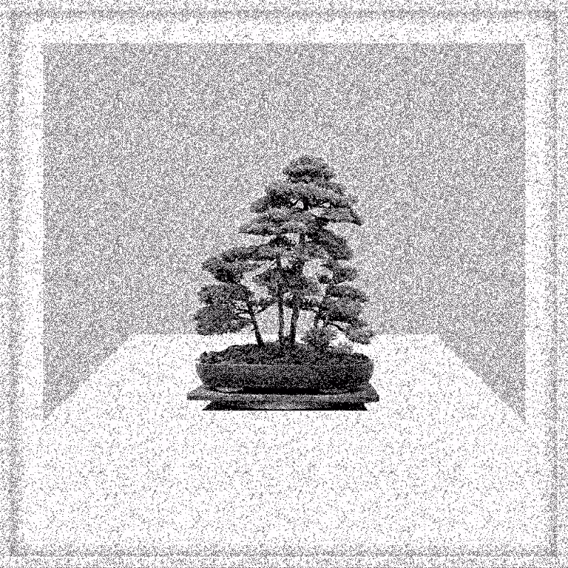 Bonsai Bonanza #348