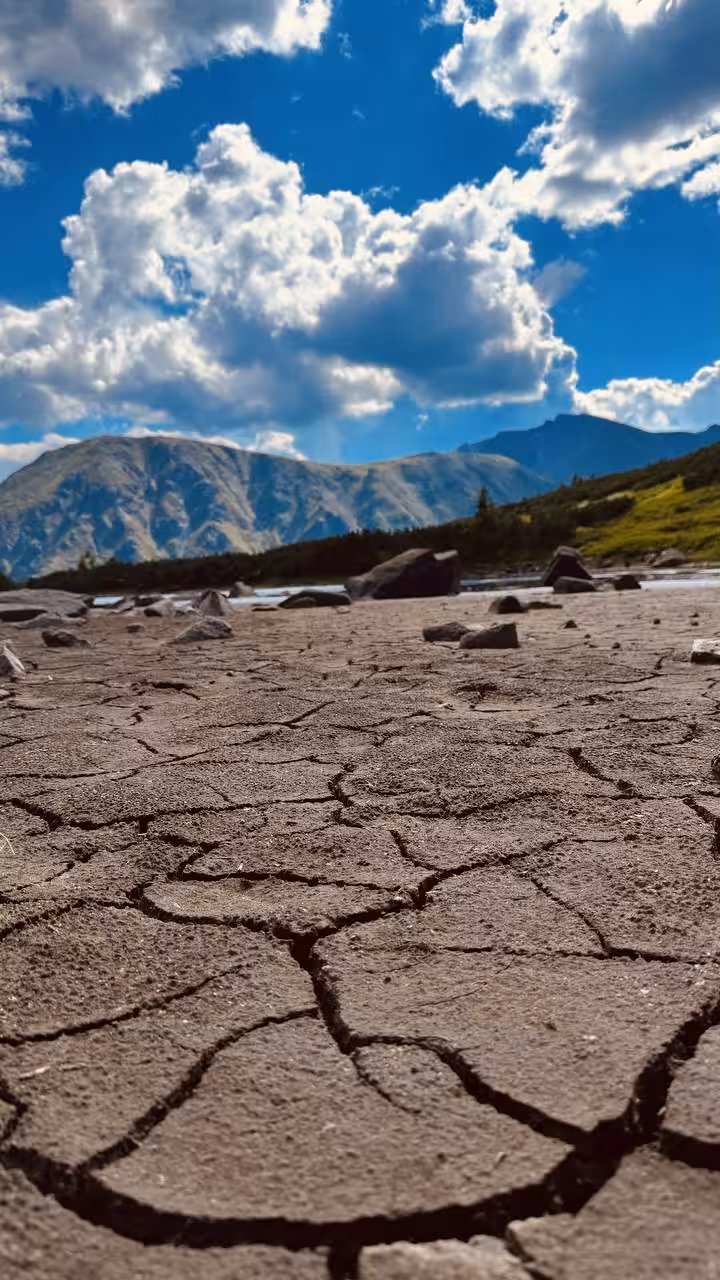 My travelogue ⛰️: Cracks in the dried lake