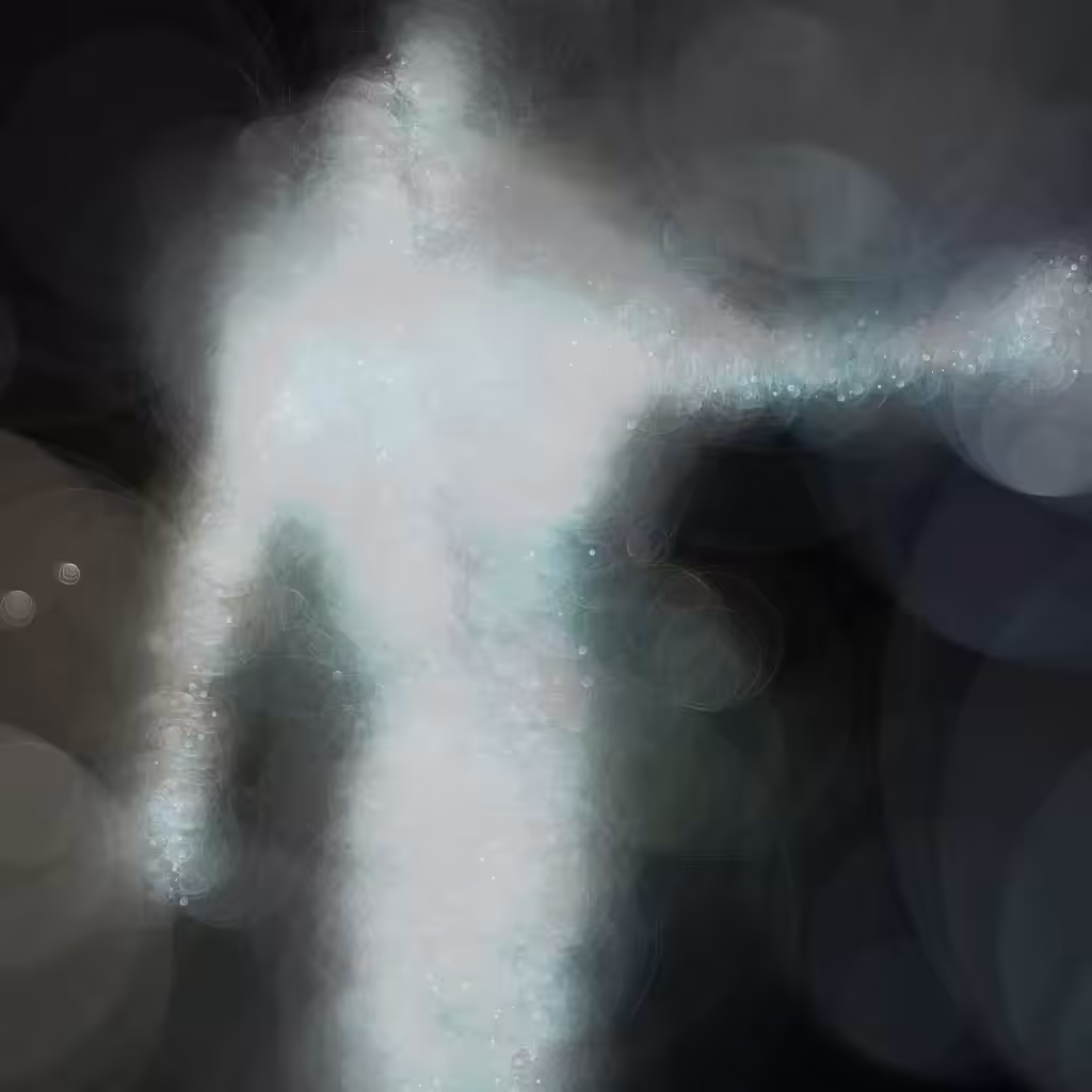 Phantom 6