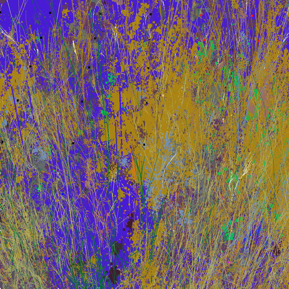 Infinite Garden: 226518 Flowers