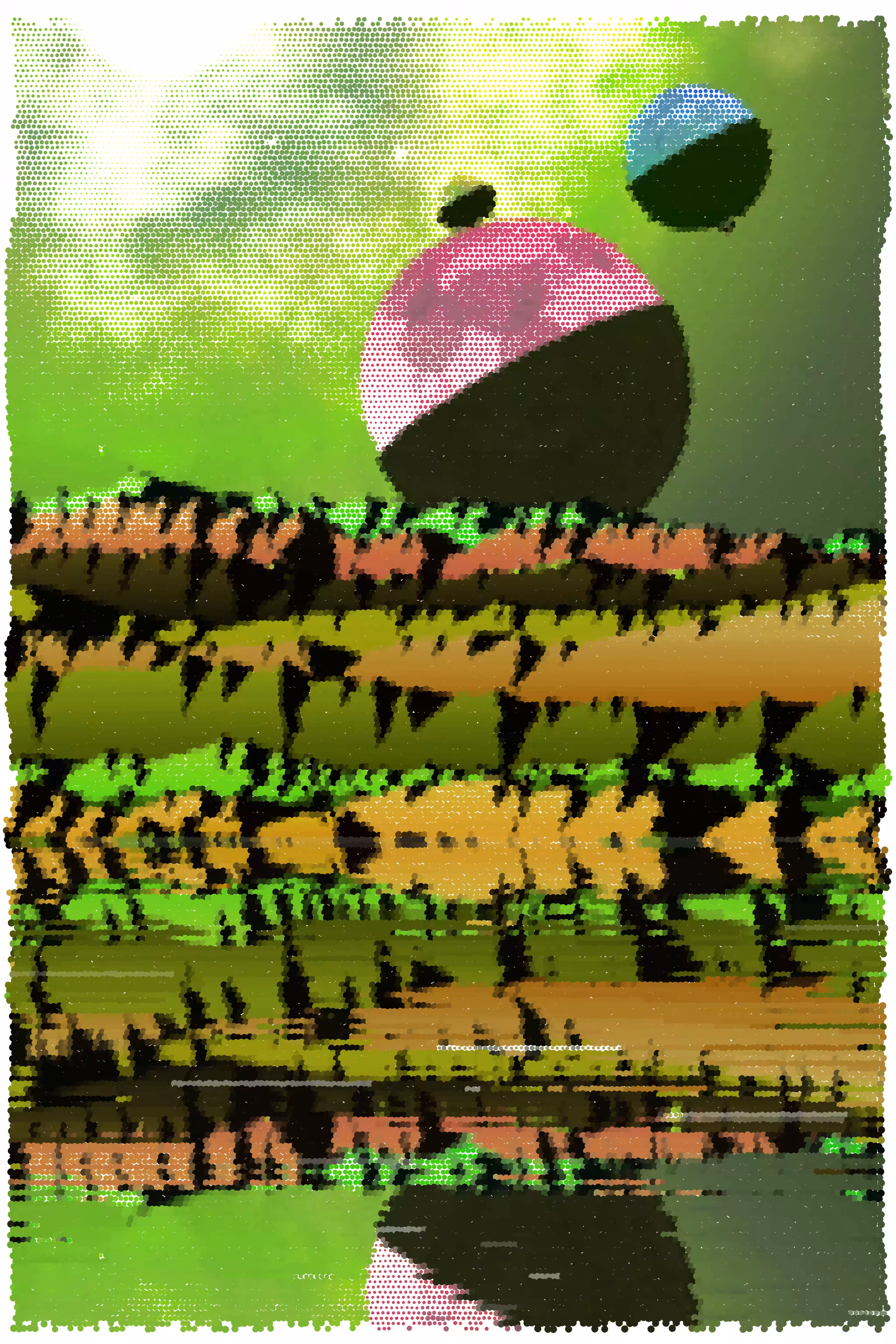 Gradient Ascent #247