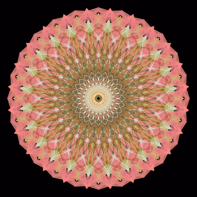 Morphing Mandala - #fxhashturnsone charity #19