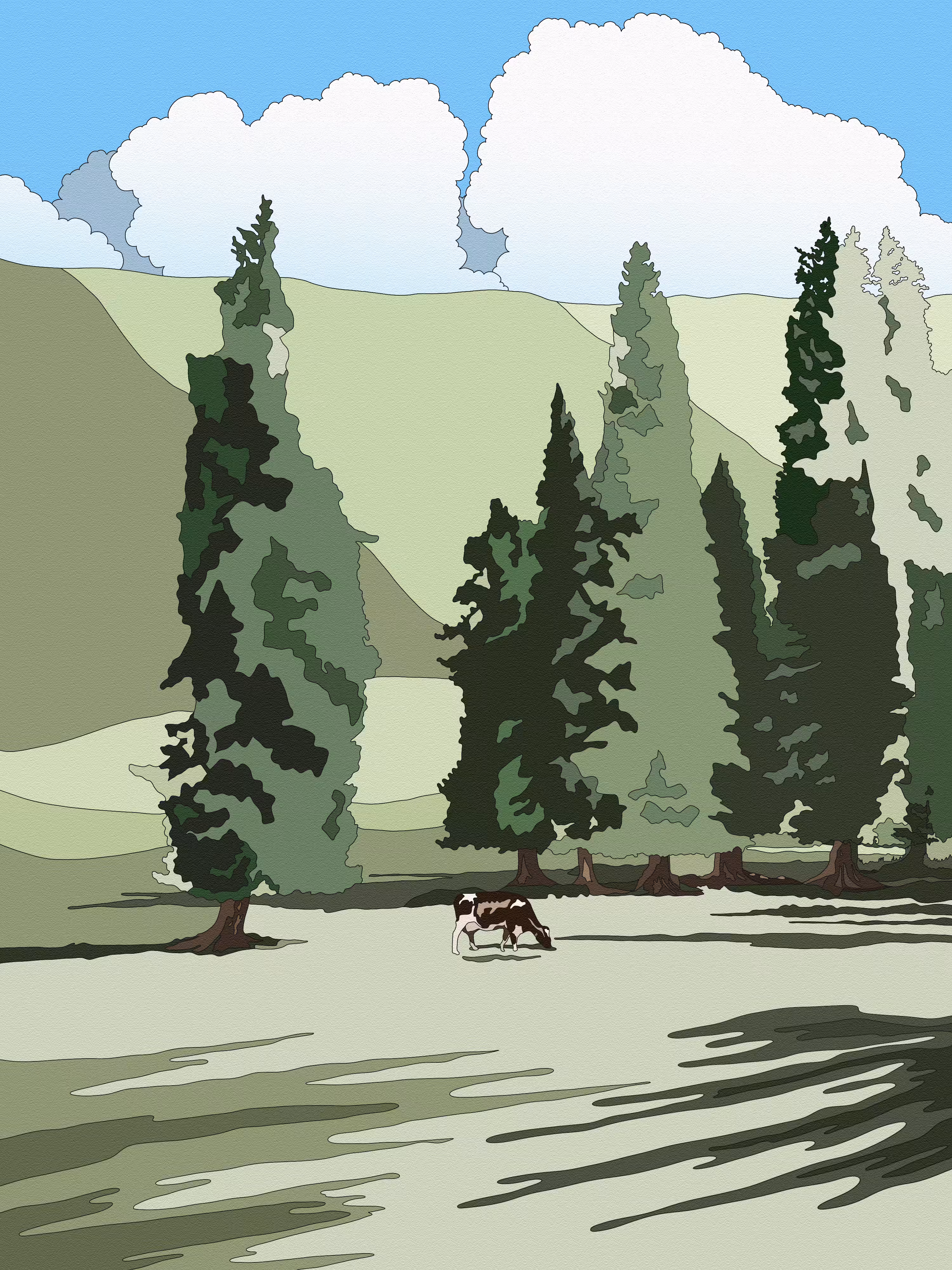 pine forest