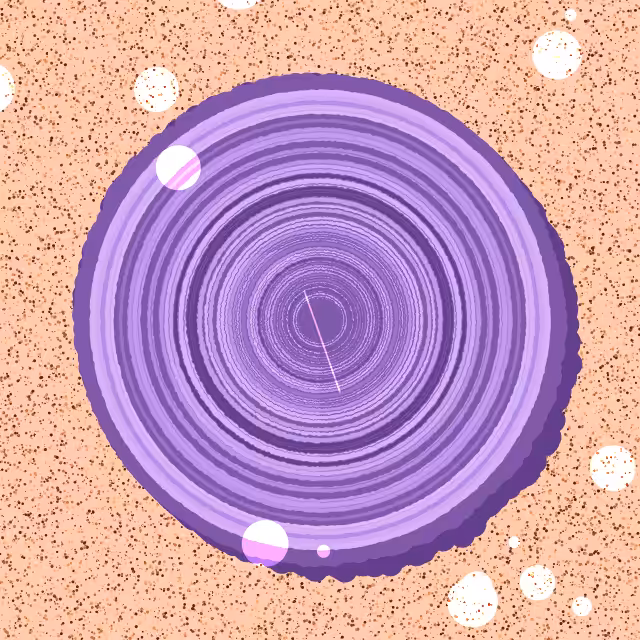 Log of Life #7