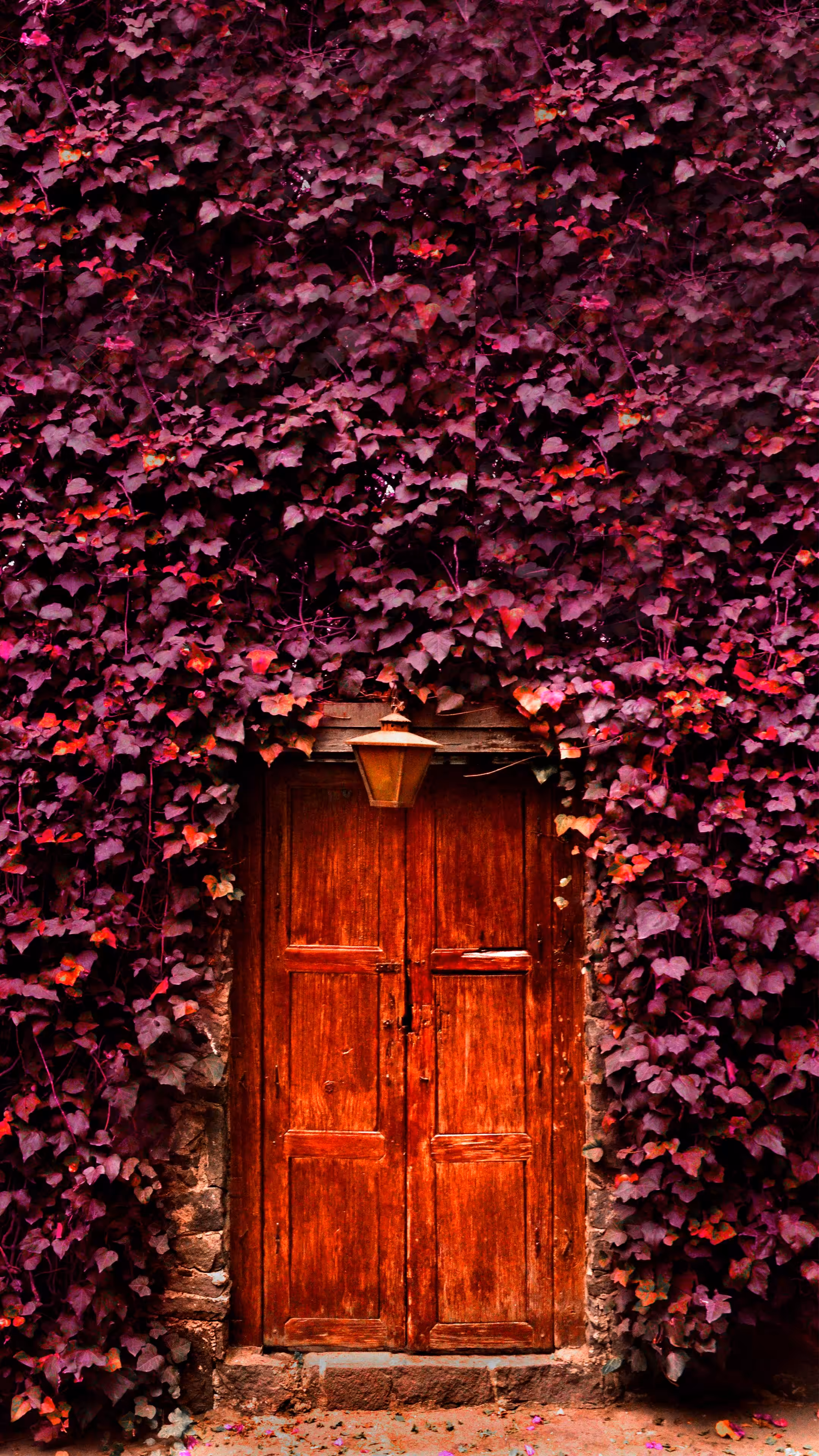Mexico City Doorway