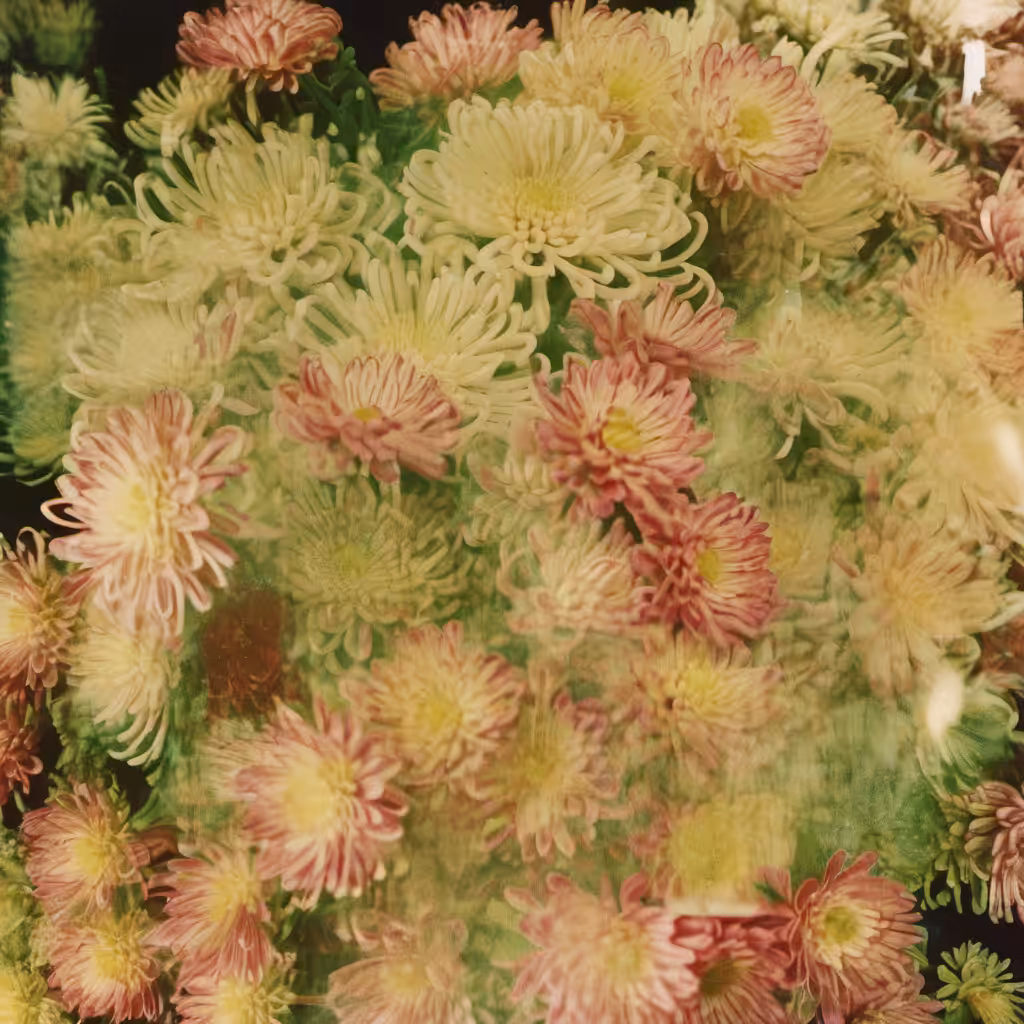 Bloom #10