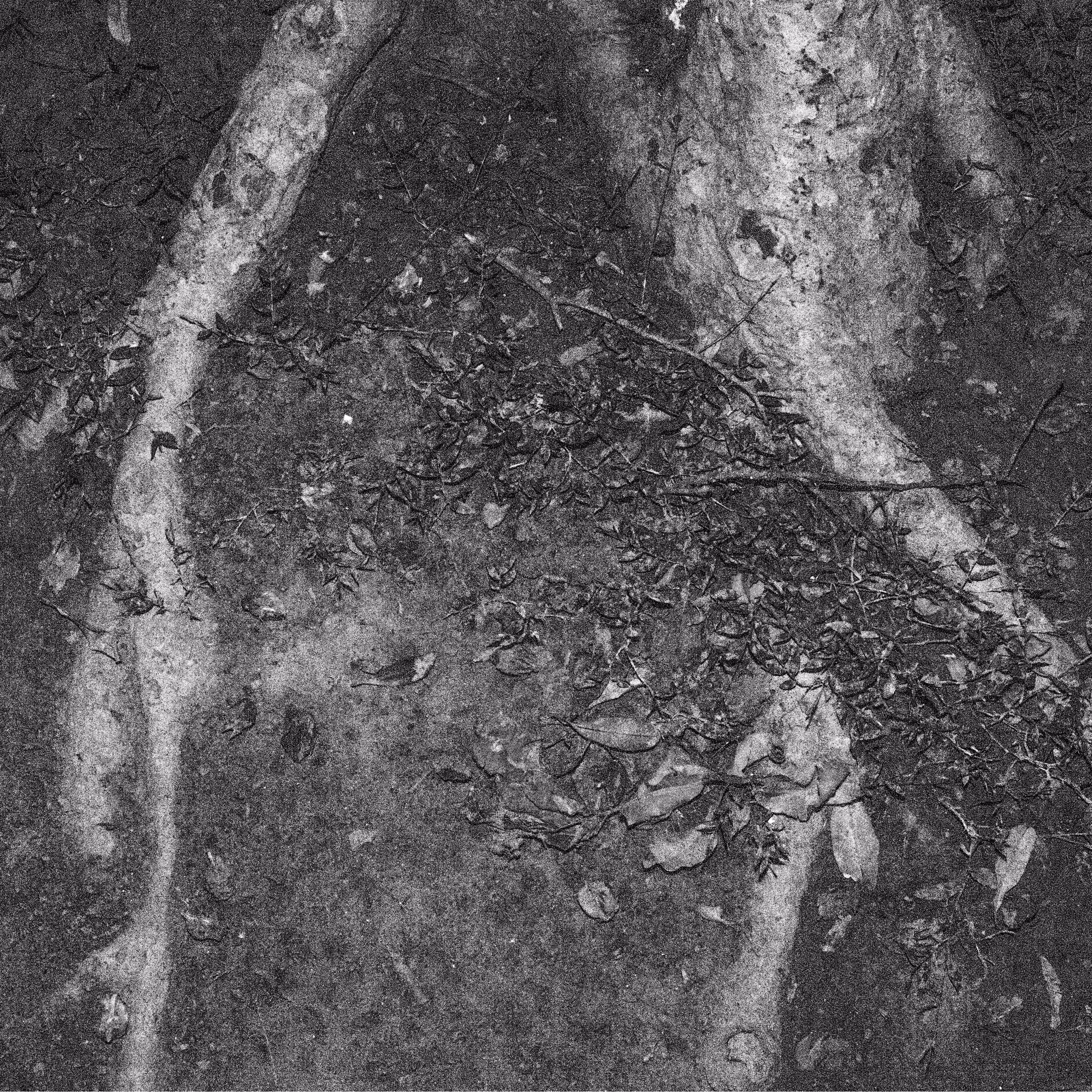 IGNIS FATUUS #3 - FOSSIL DECAY