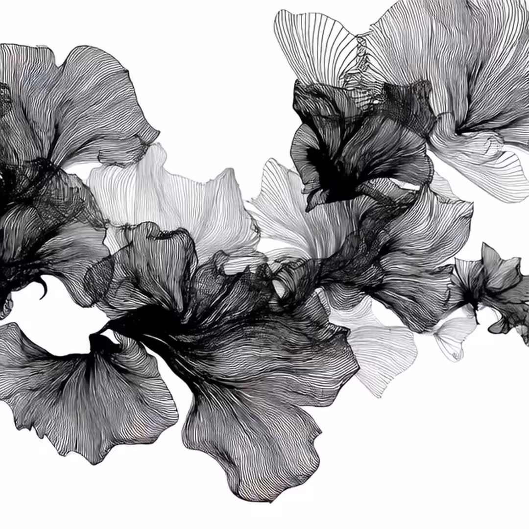 Silent Flow #01