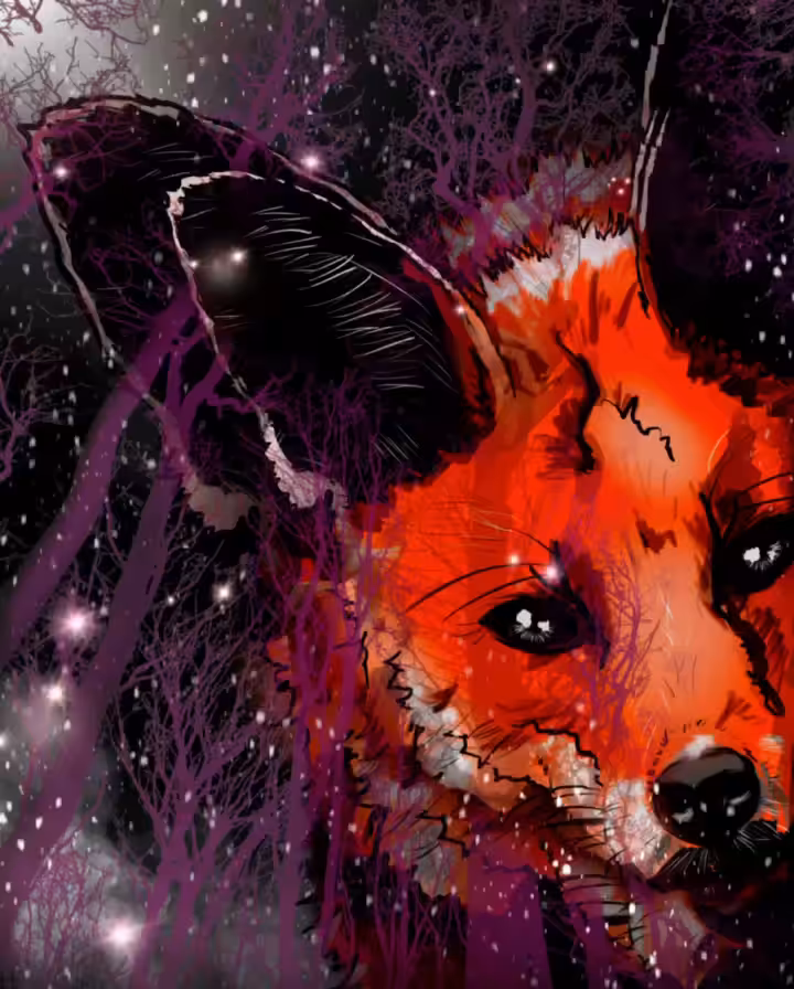 MetaFOX