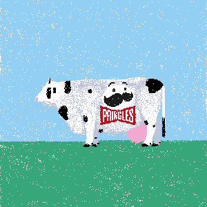 cow #98