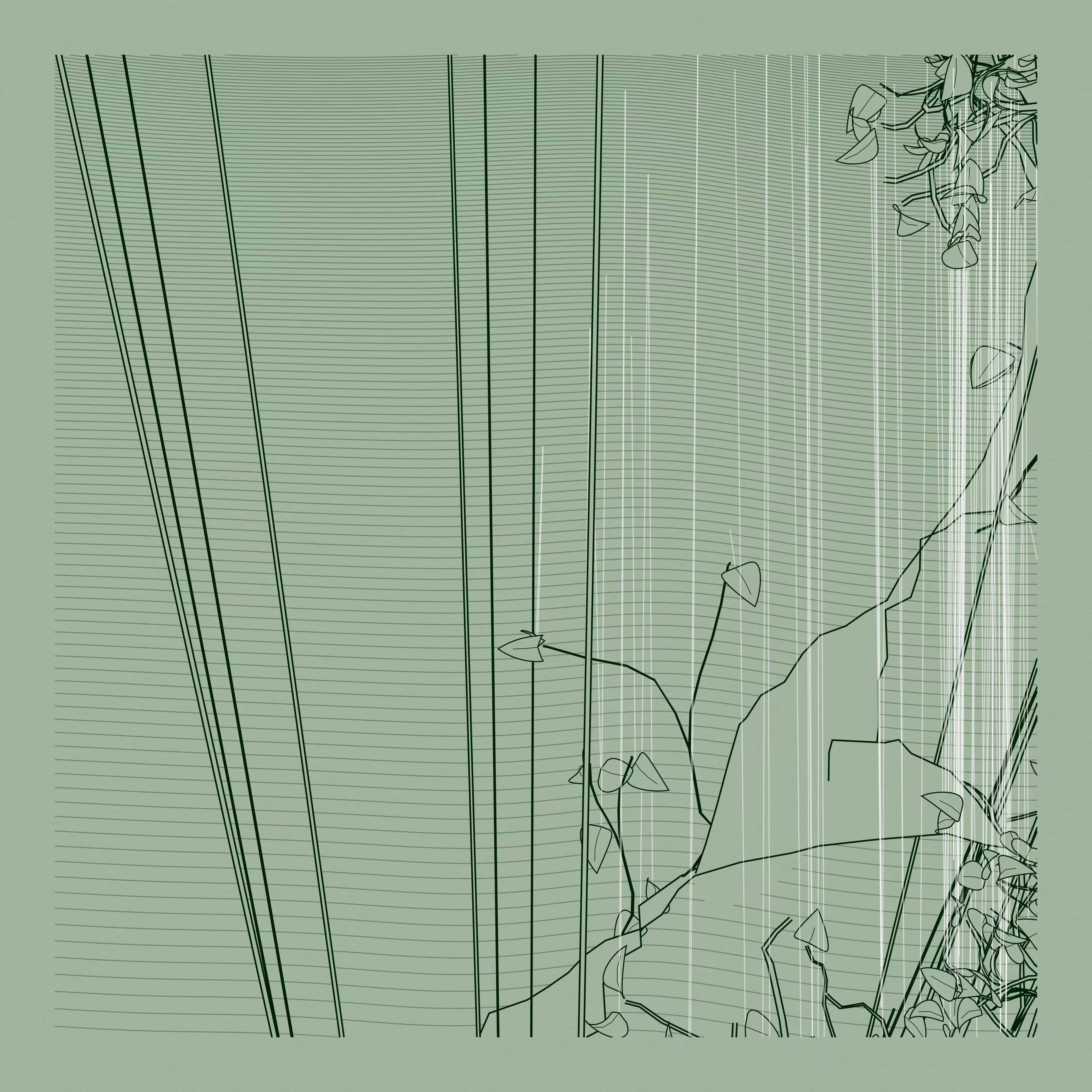 A Bugged Forest #555