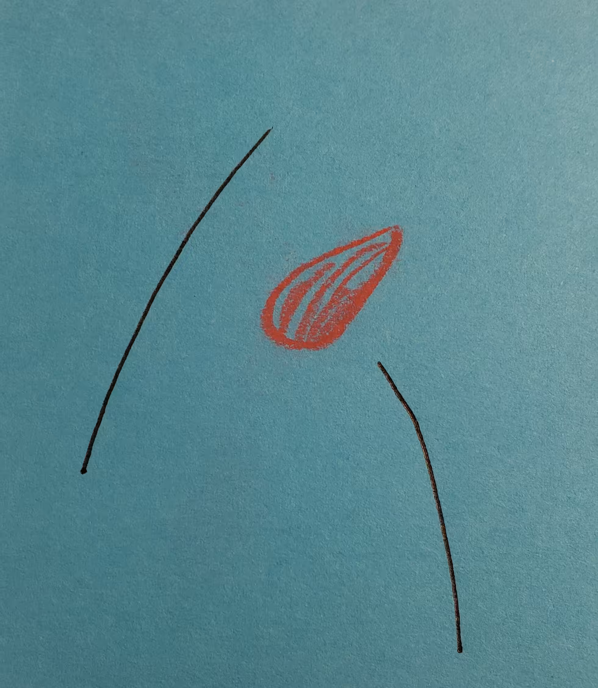 35