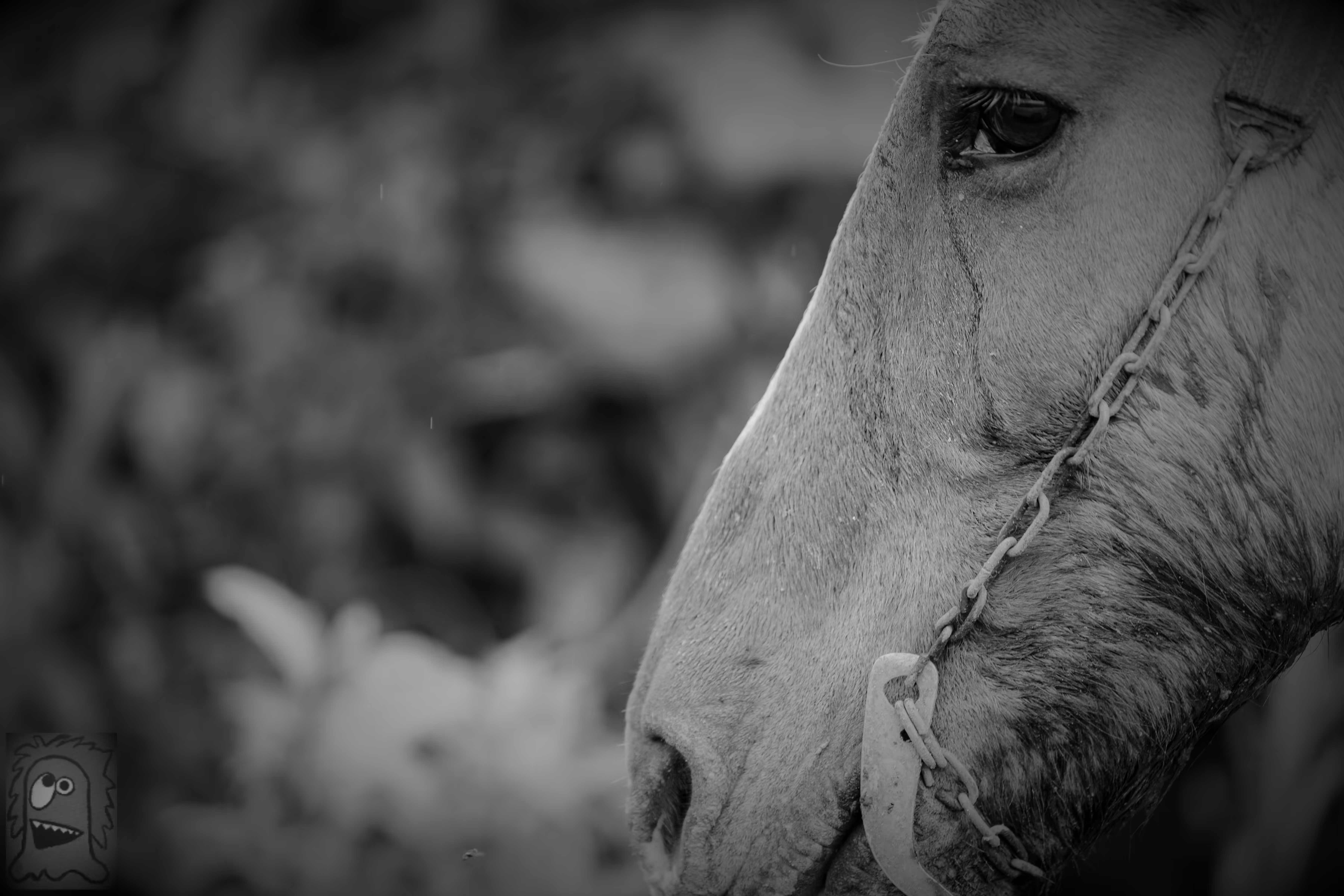 "The Fields of Grey Visual 10" Resilience