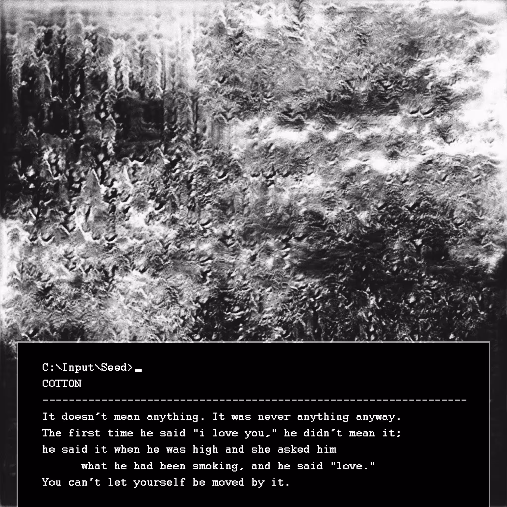 Seeds and Ashes - 11. cotton