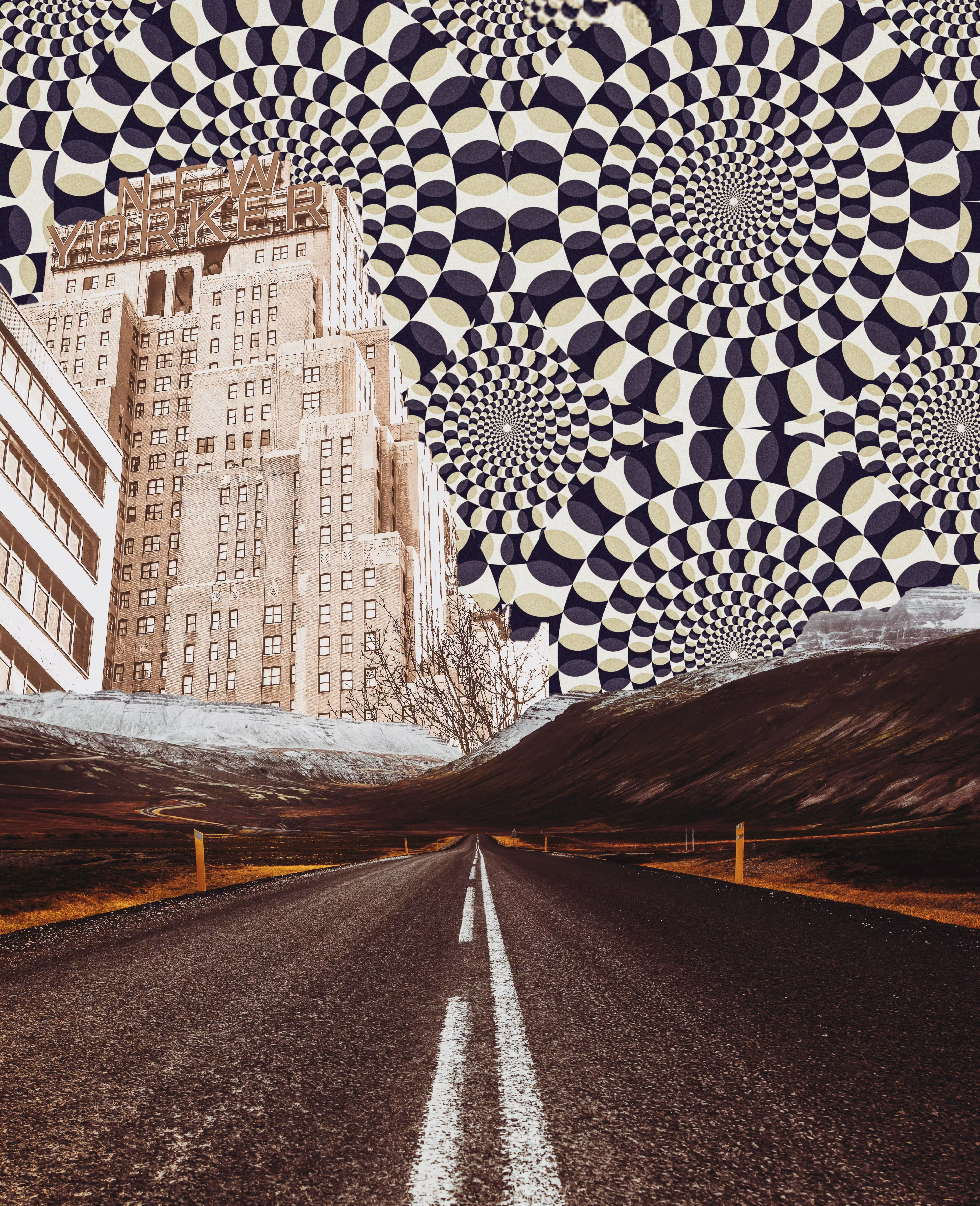 Spinny, 2019