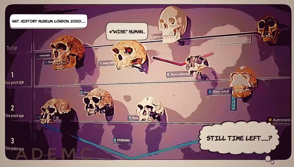 #HomoSapiens (Pop art v2)